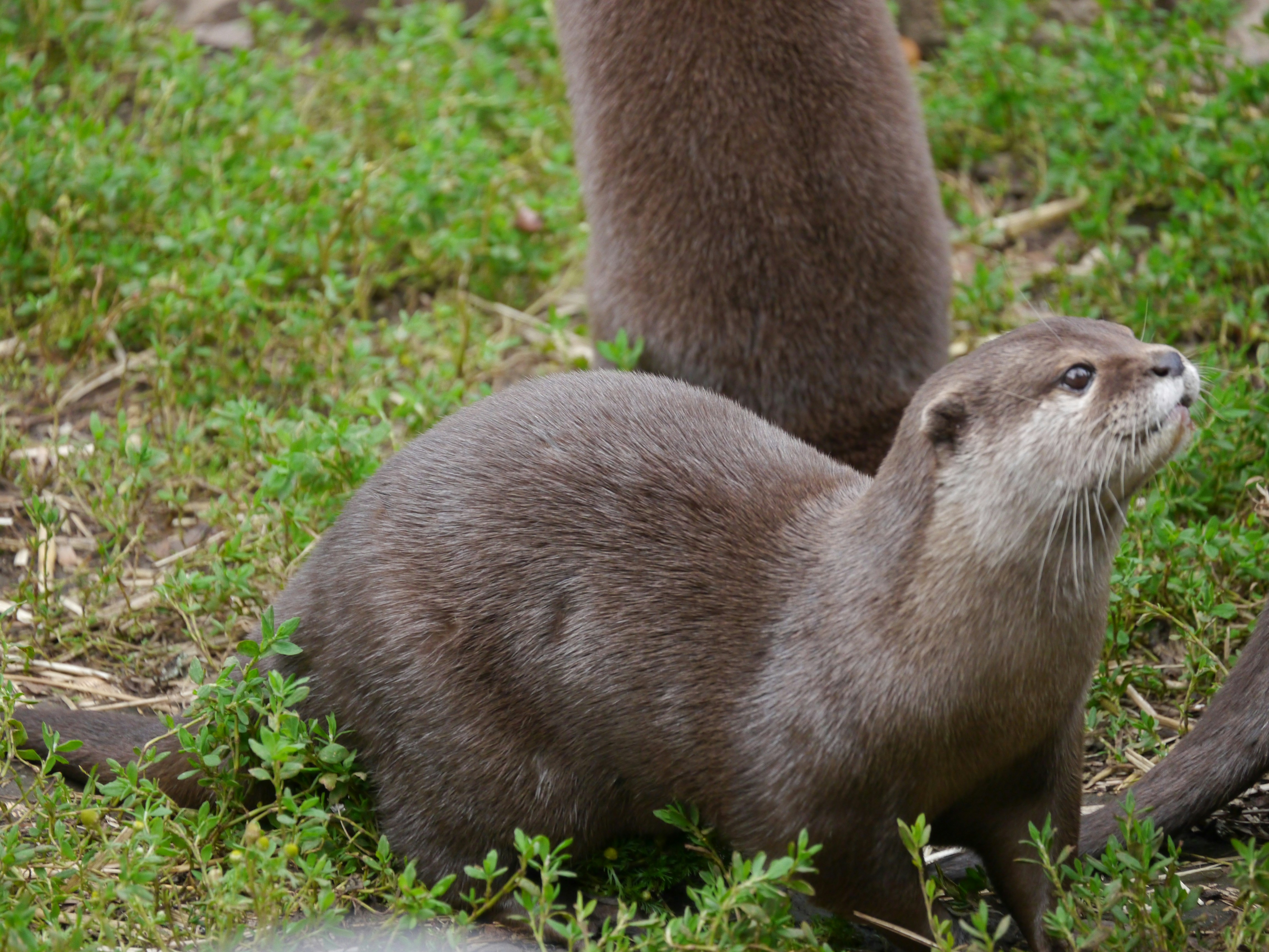 Photo by iqsphotography