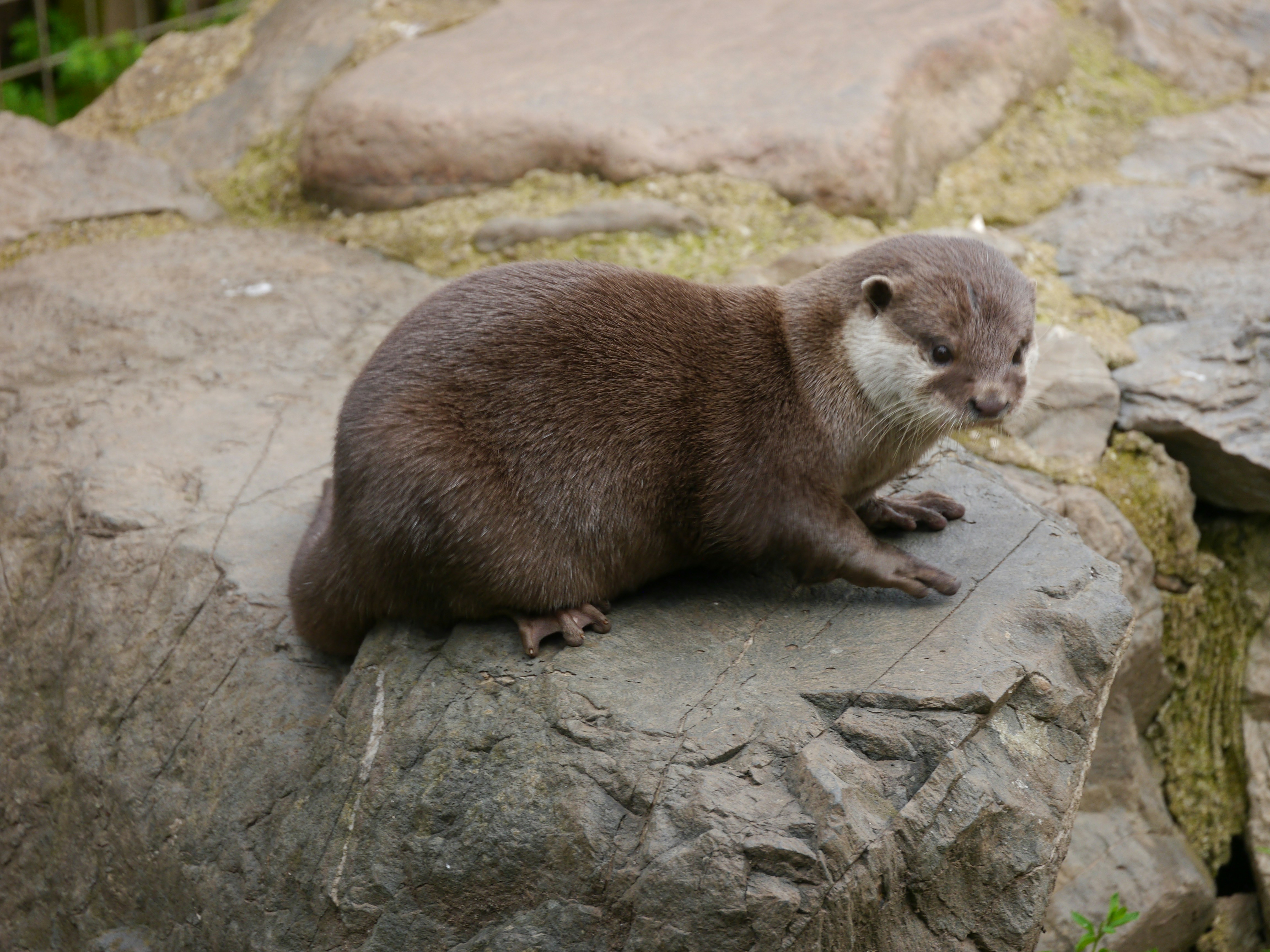 Photo by iqsphotography