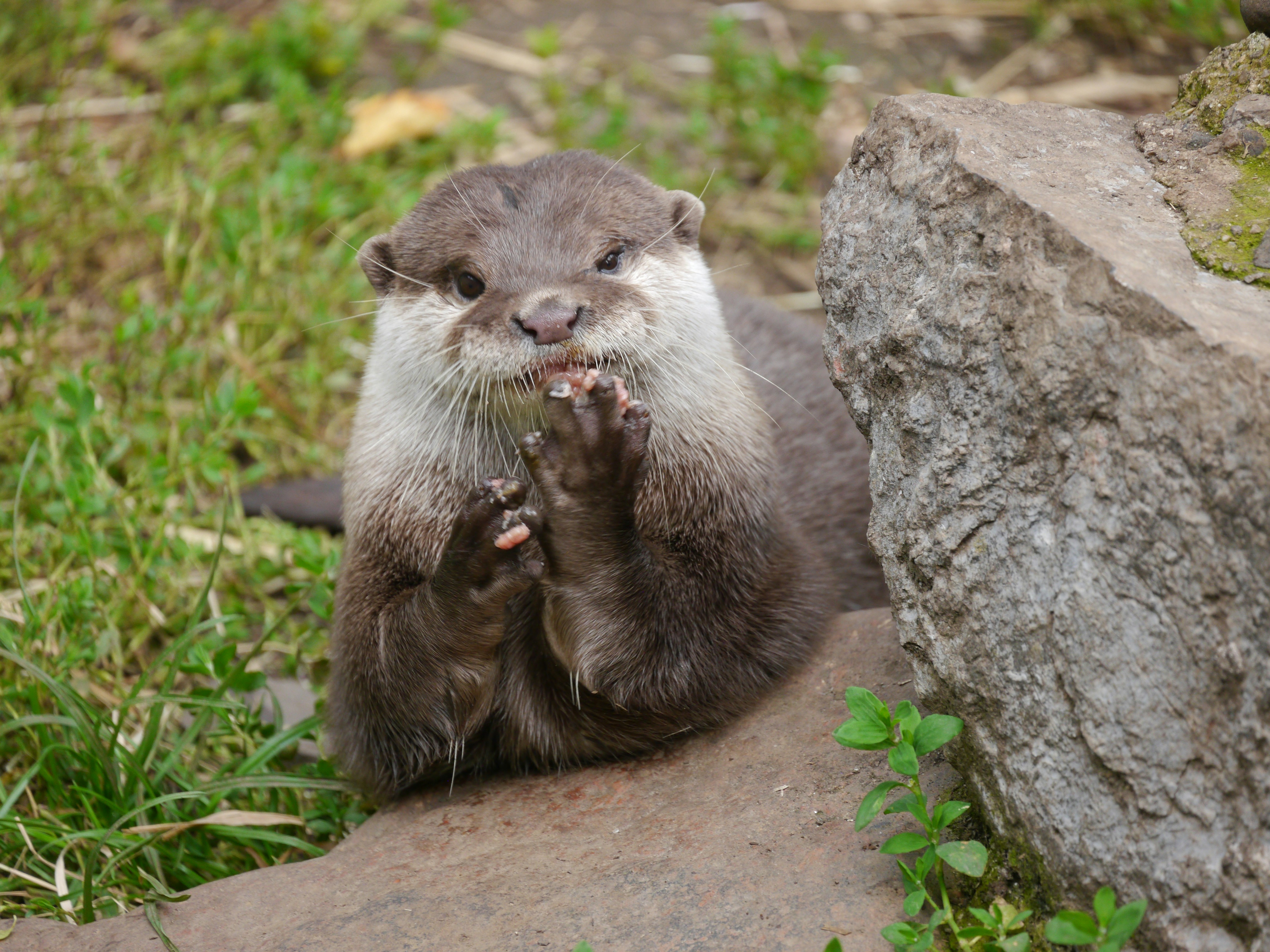 photo-1720714432434-ed0e33a20e72?ixid=M3wxMjA3fDB8MXxzZWFyY2h8M3x8JUUwJUI4JUEzJUUwJUI4JUIxJUUwJUI4JTgxJUUwJUI4JUE5JUUwJUI4JUIyJUUwJUI4JUEzJUUwJUI4JUIyJUUwJUI4JTgxJUUwJUI4JTlGJUUwJUI4JUIxJUUwJUI4JTk5JUUwJUI5JTgzJUUwJUI4JTgxJUUwJUI4JUE1JUUwJUI5JTg5JUUwJUI4JTg5JUUwJUI4JUIxJUUwJUI4JTk5fGVufDB8fHx8MTc2ODk0MzYzMHww\u0026ixlib=rb-4.1.0