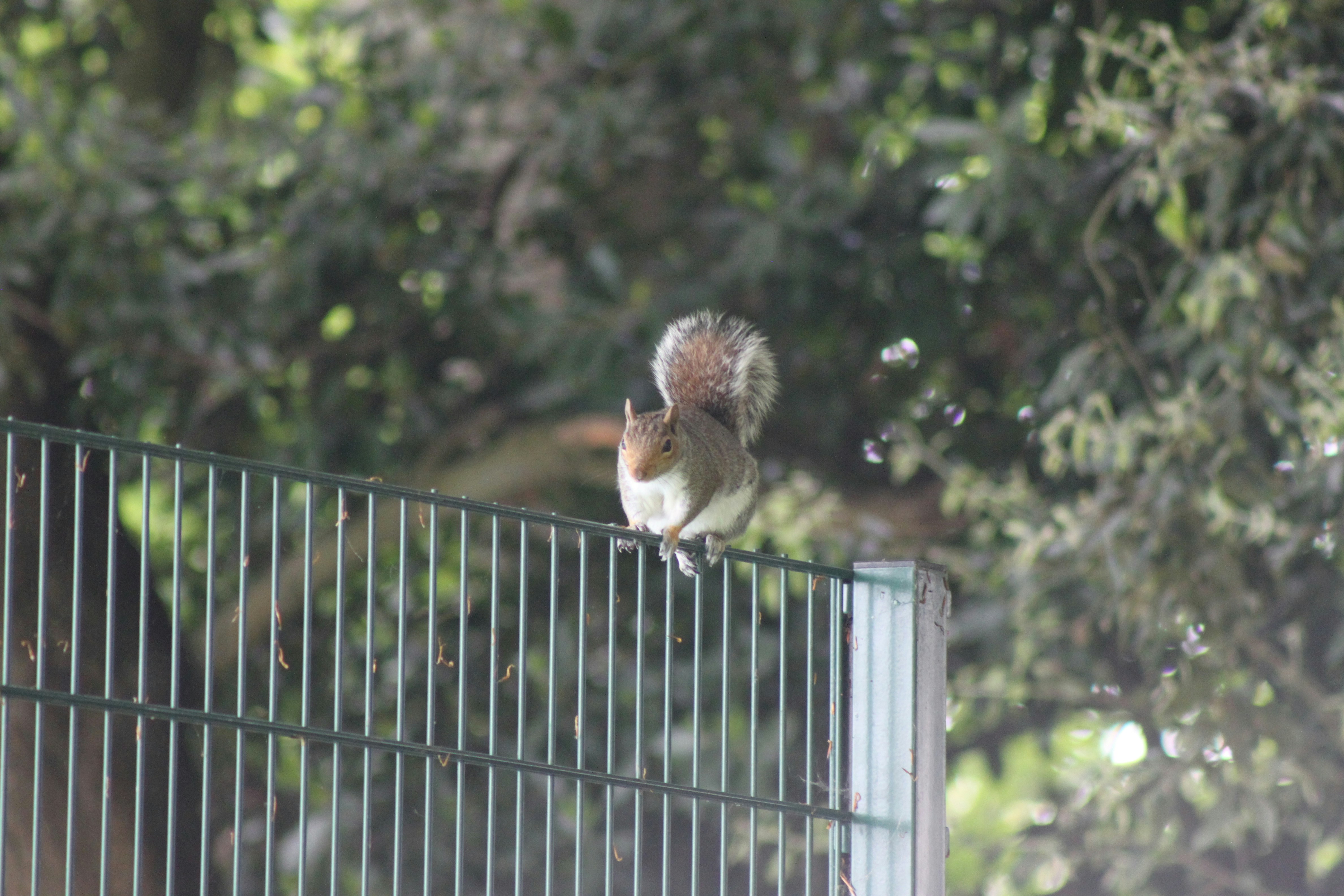 Photo by rubyphotography