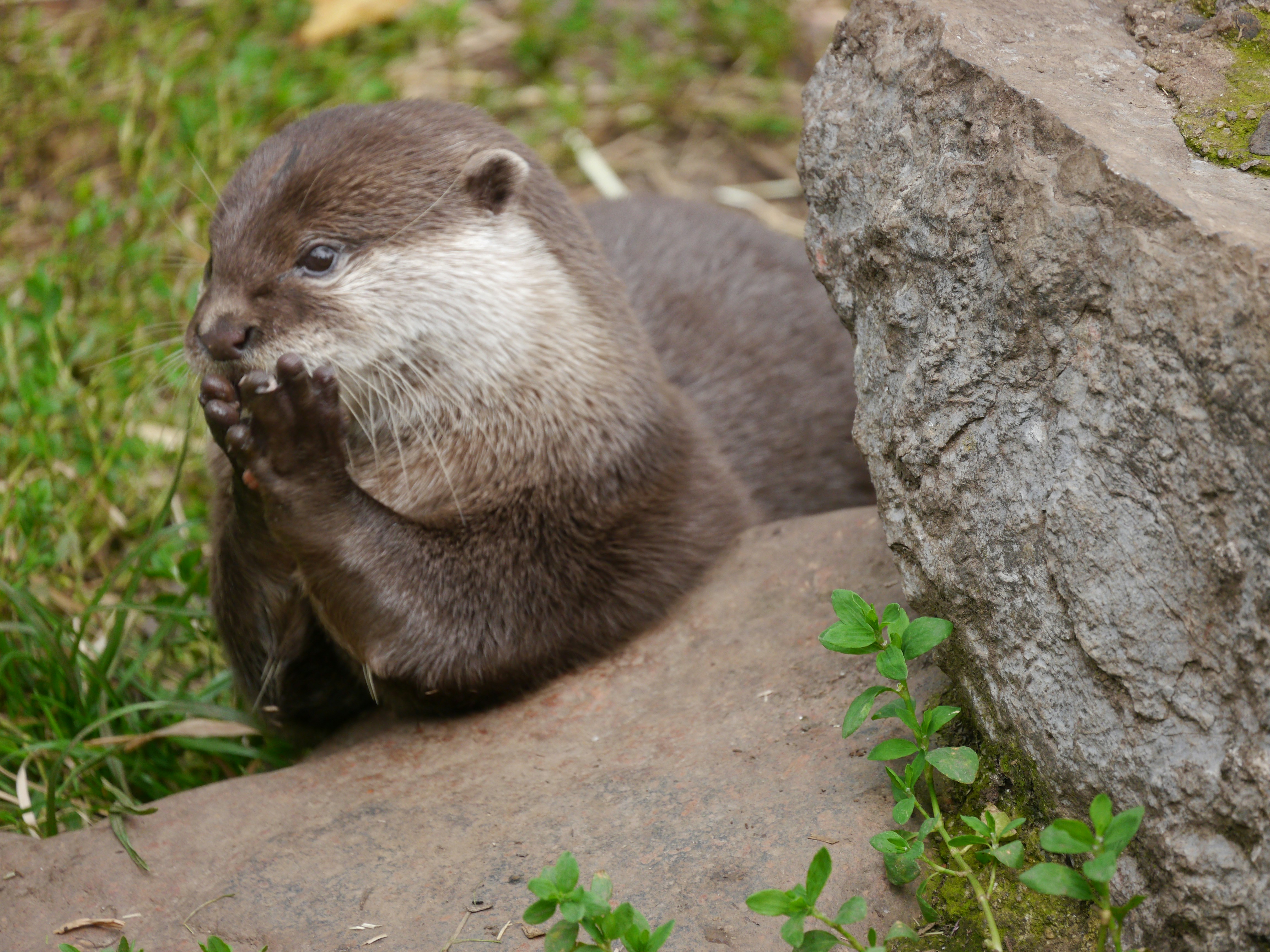 Photo by iqsphotography