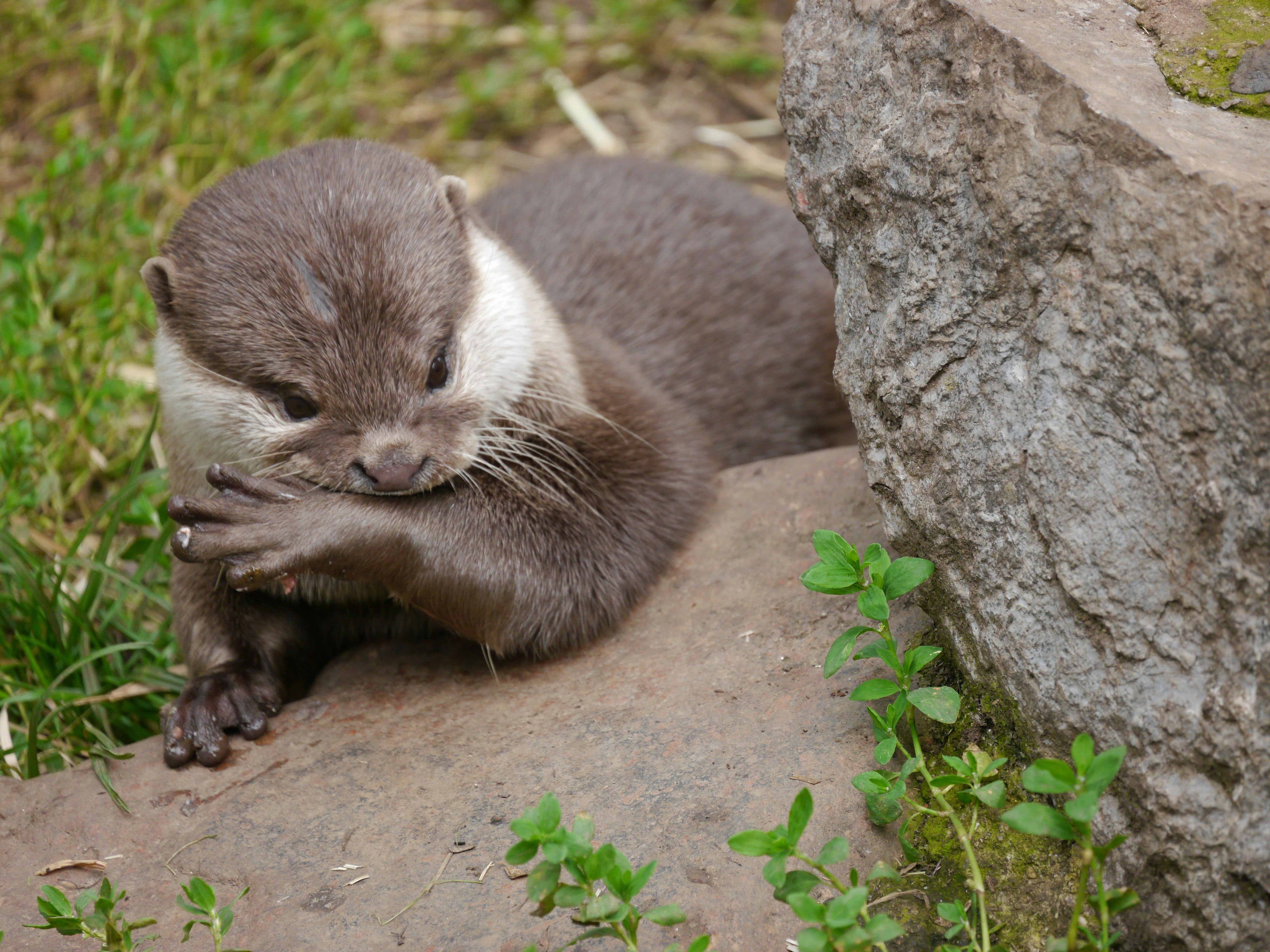 Photo by iqsphotography