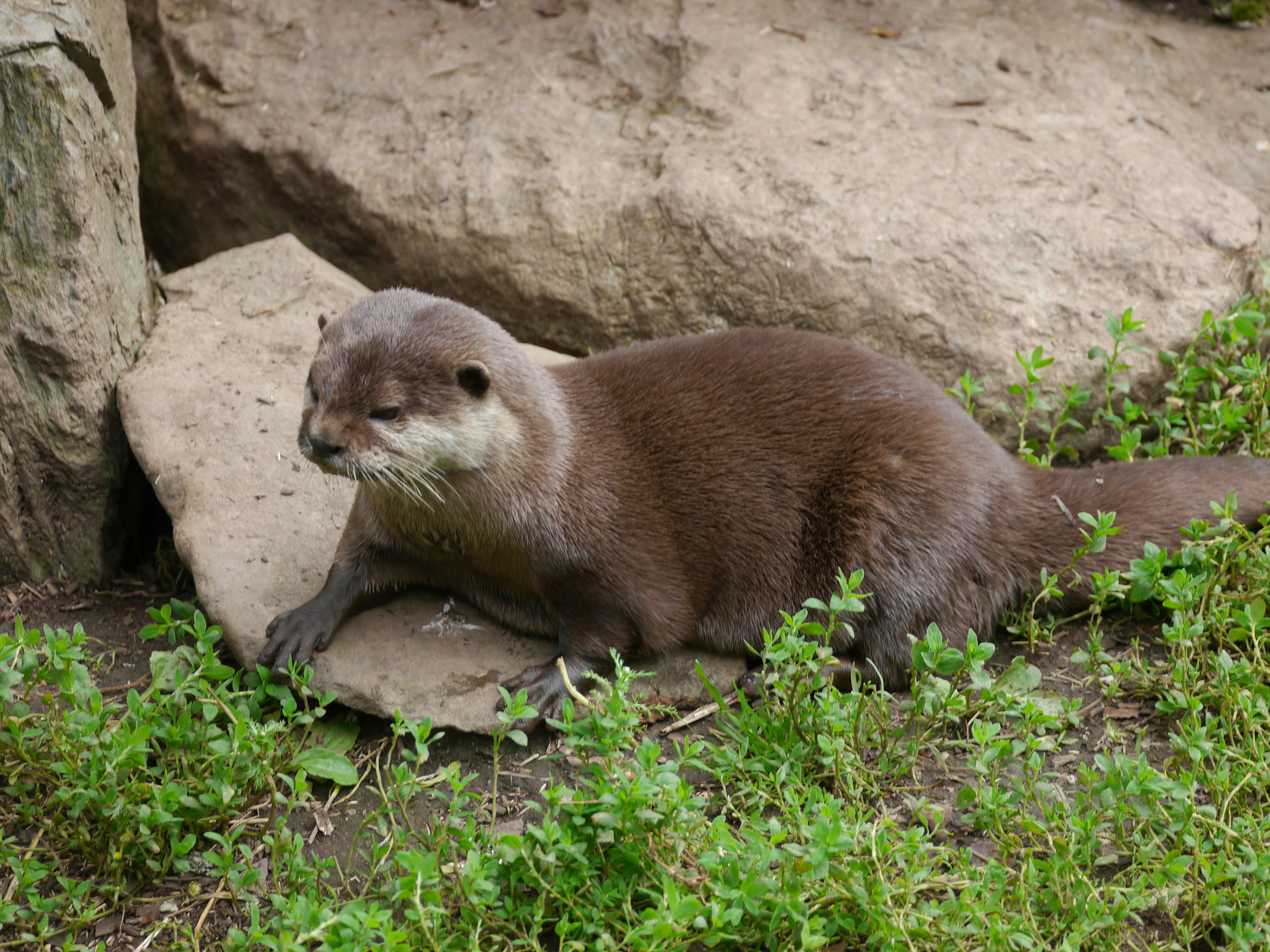 Photo by iqsphotography