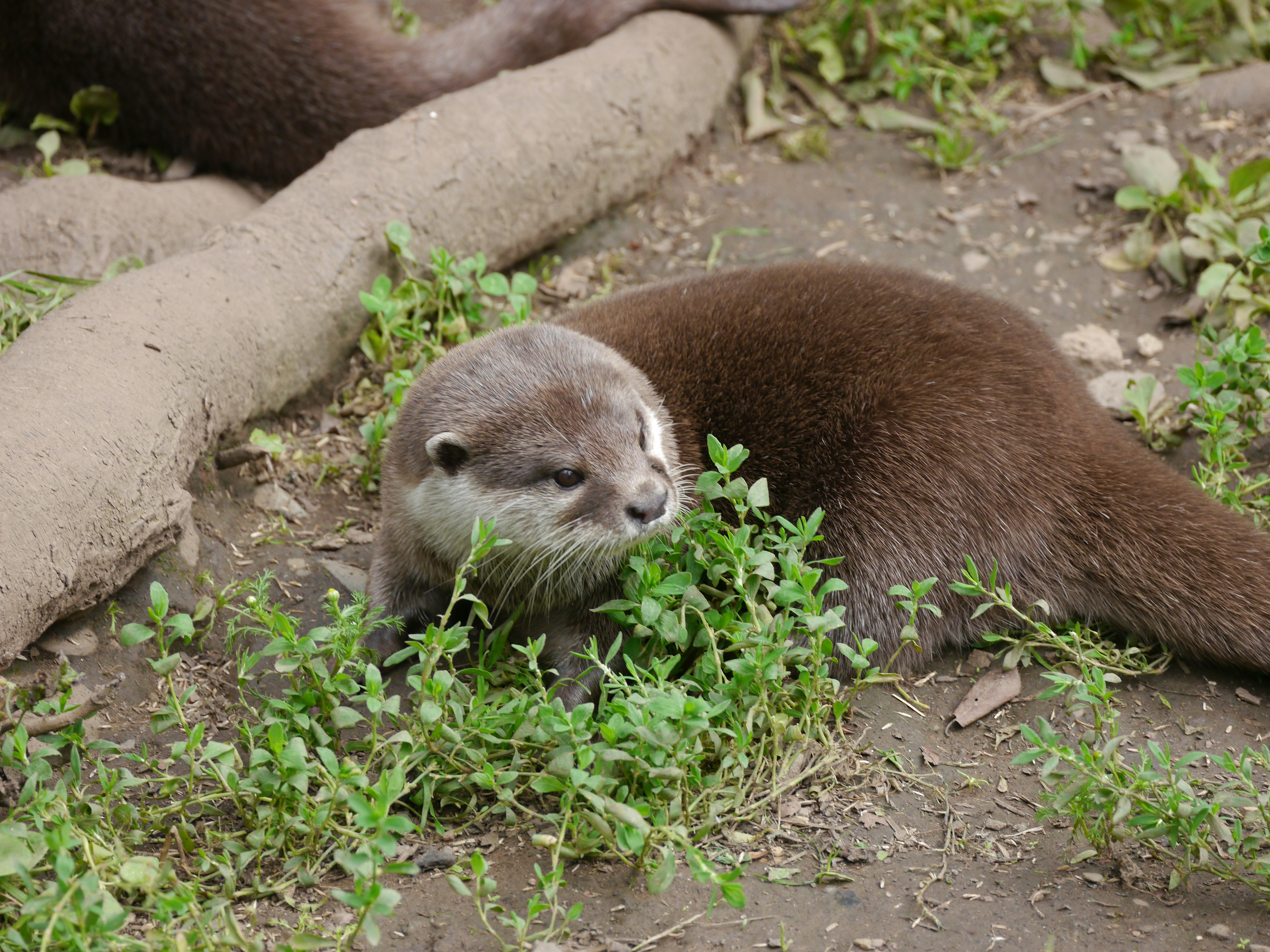 Photo by iqsphotography