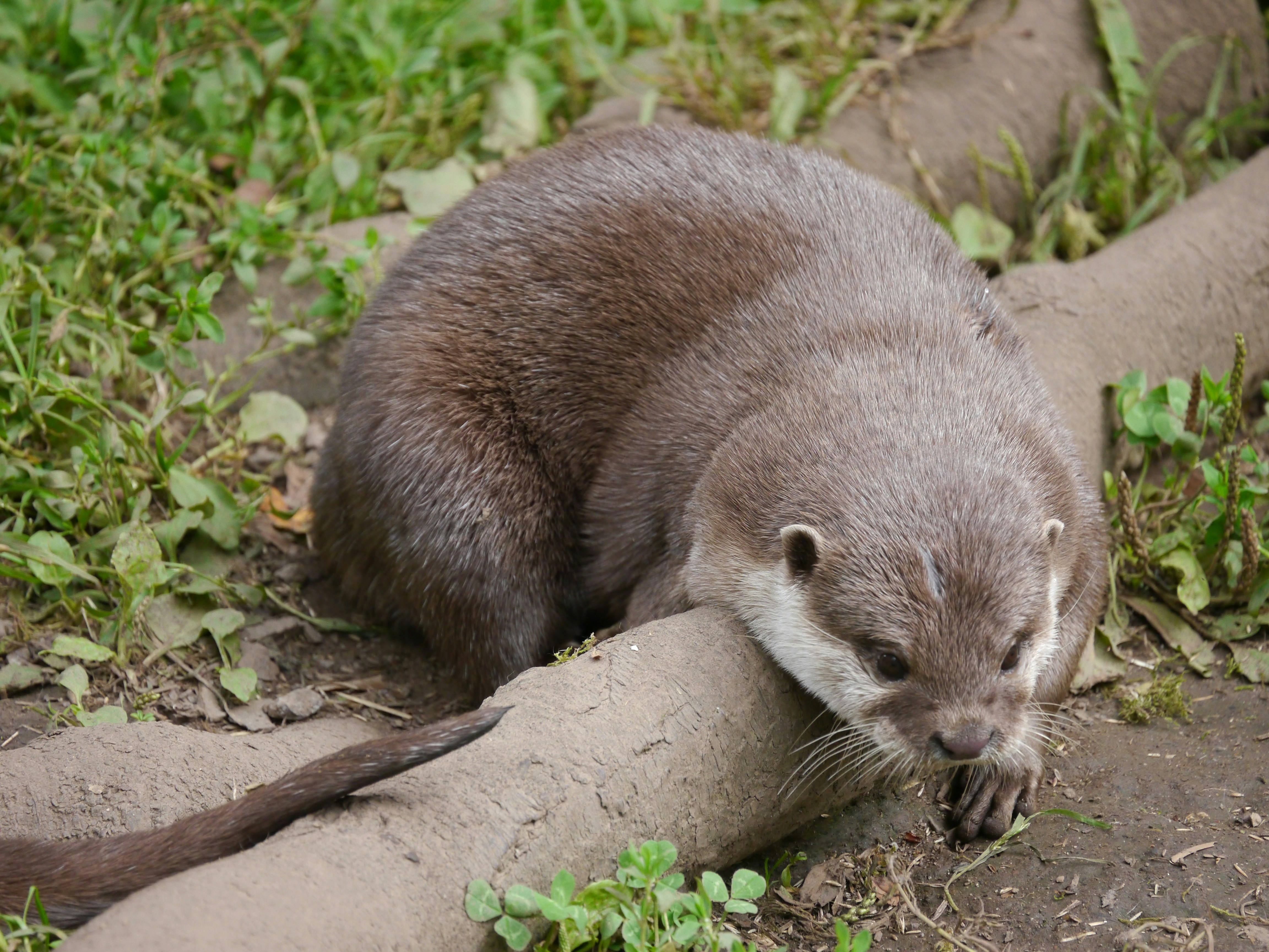 Photo by iqsphotography