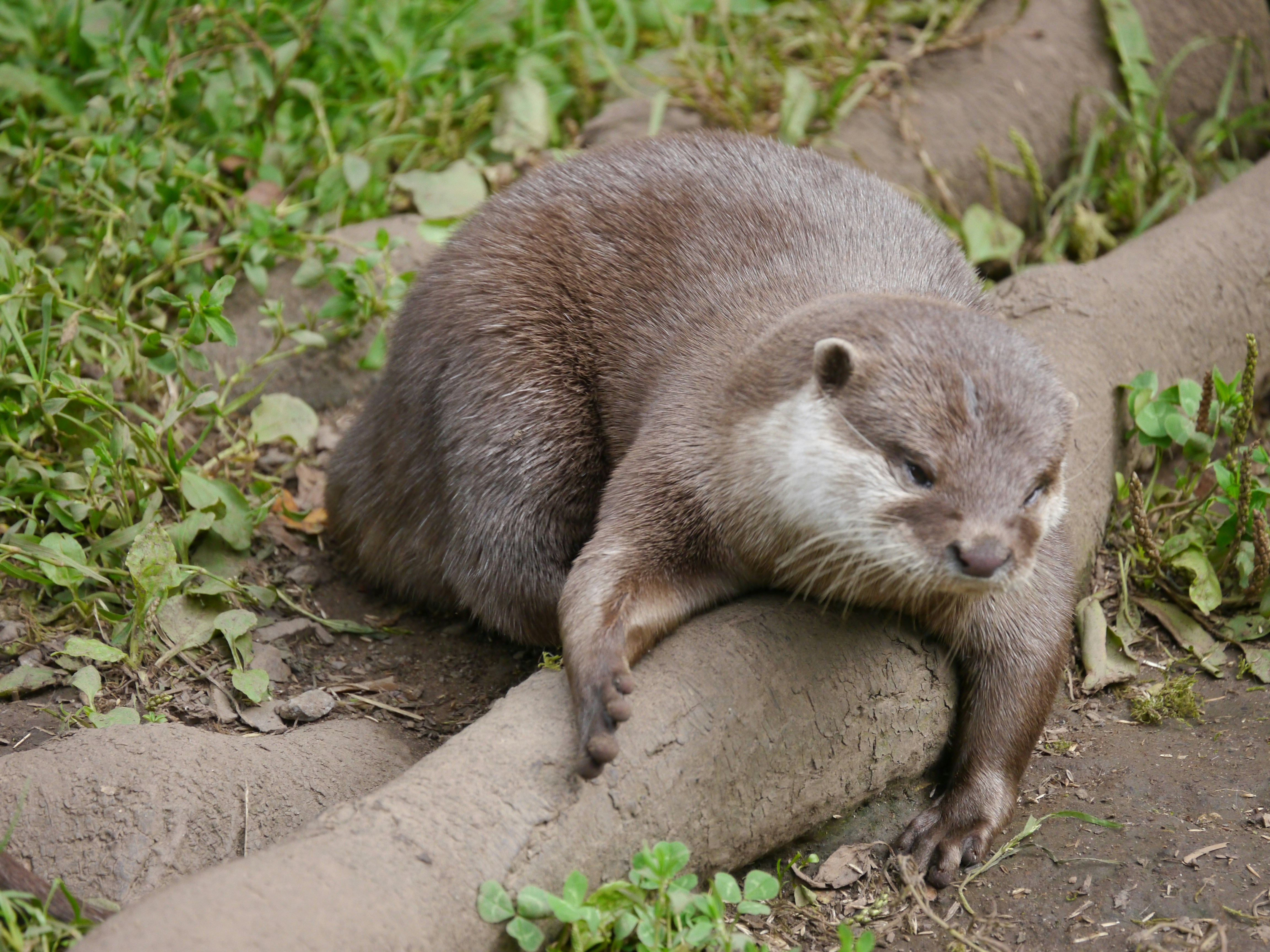 Photo by iqsphotography