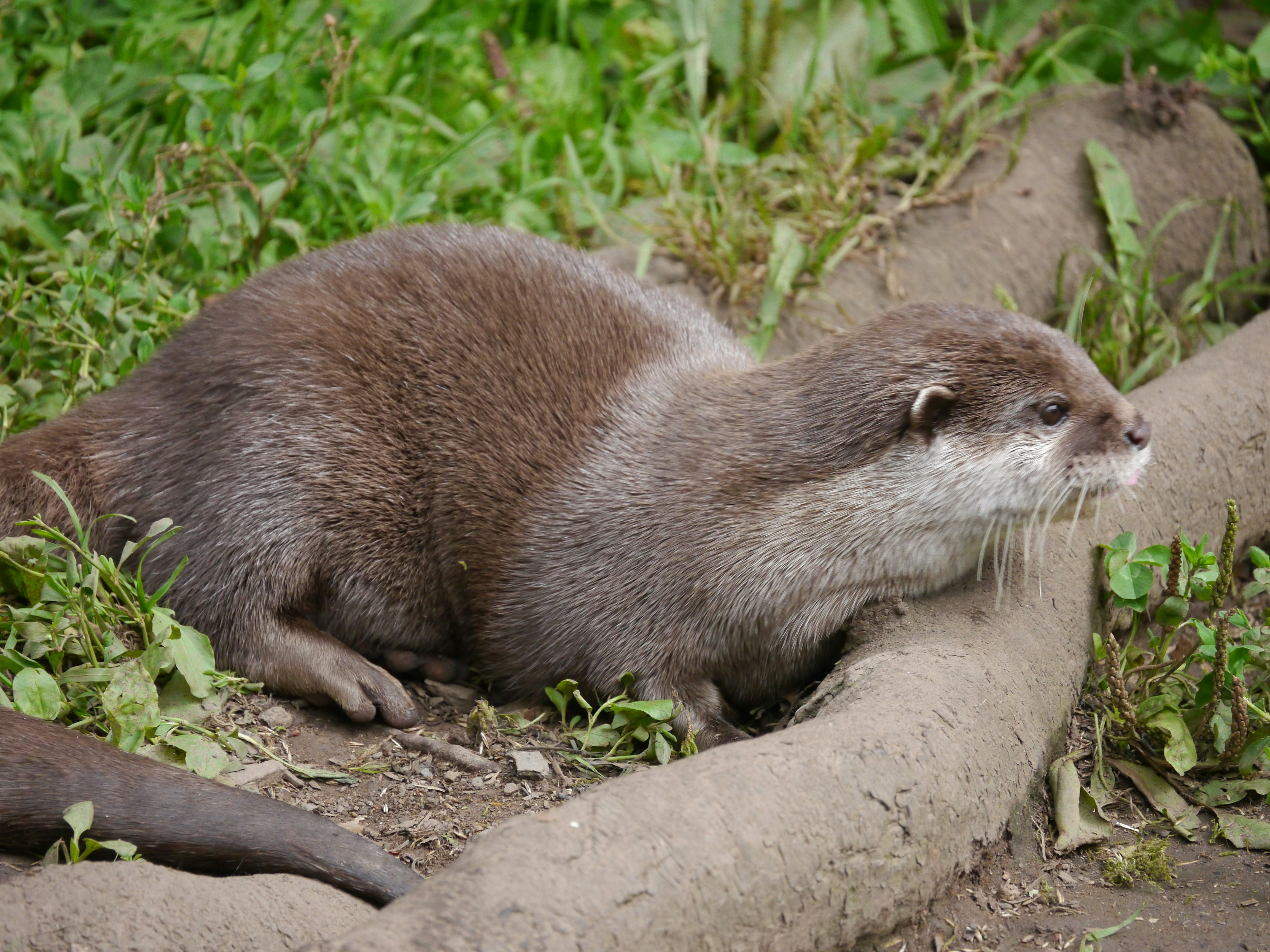 Photo by iqsphotography