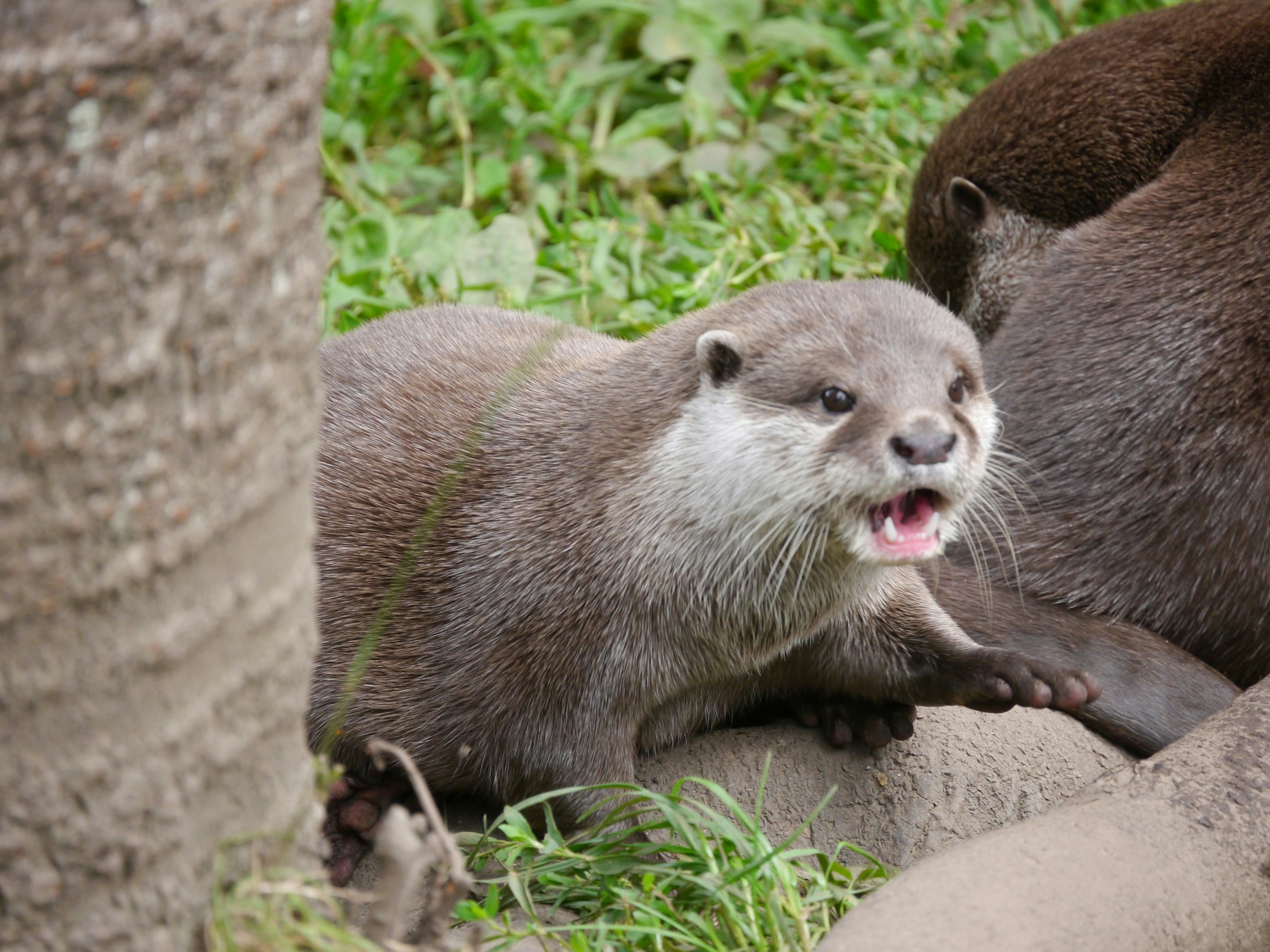 Photo by iqsphotography