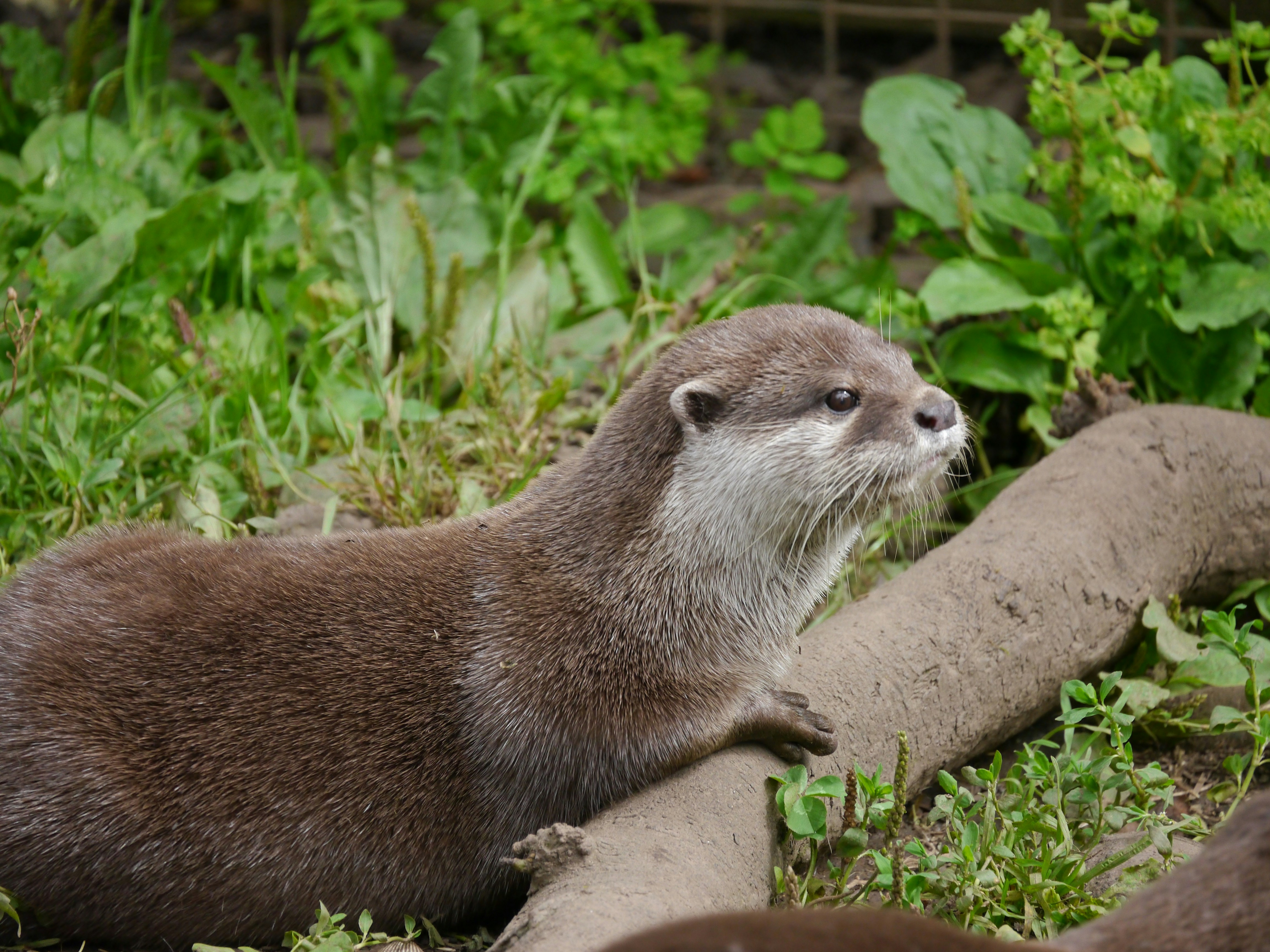 Photo by iqsphotography