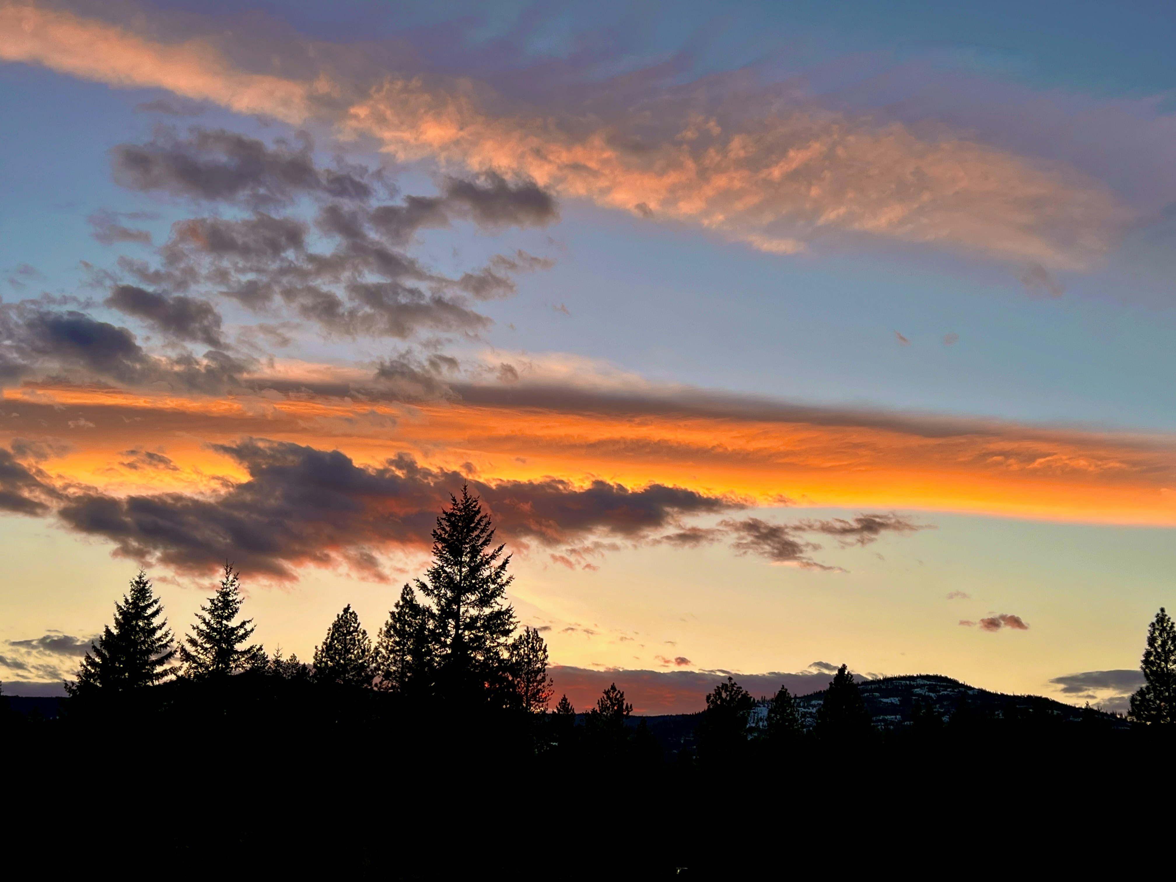 Photo by city2forest