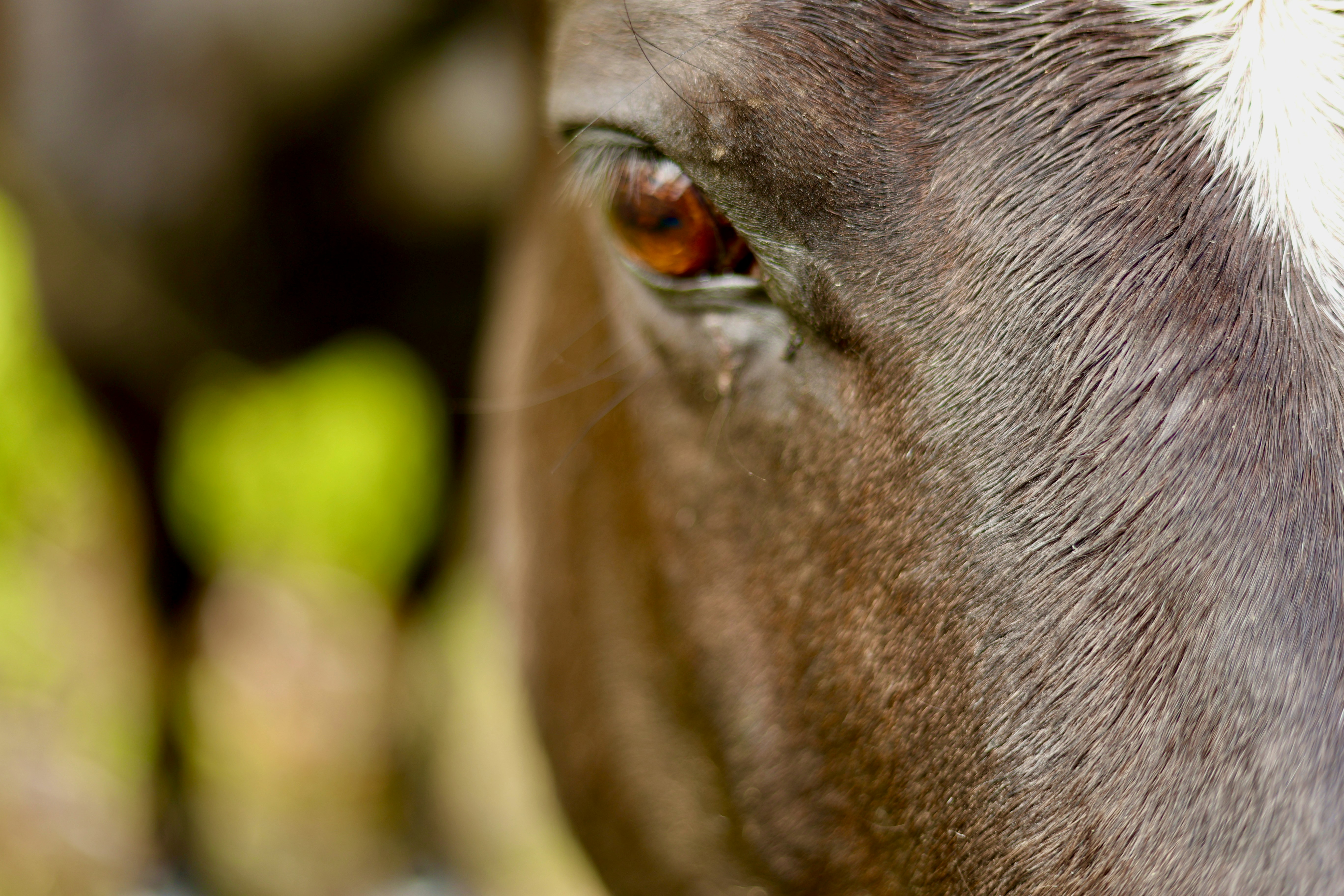 Photo by city2forest