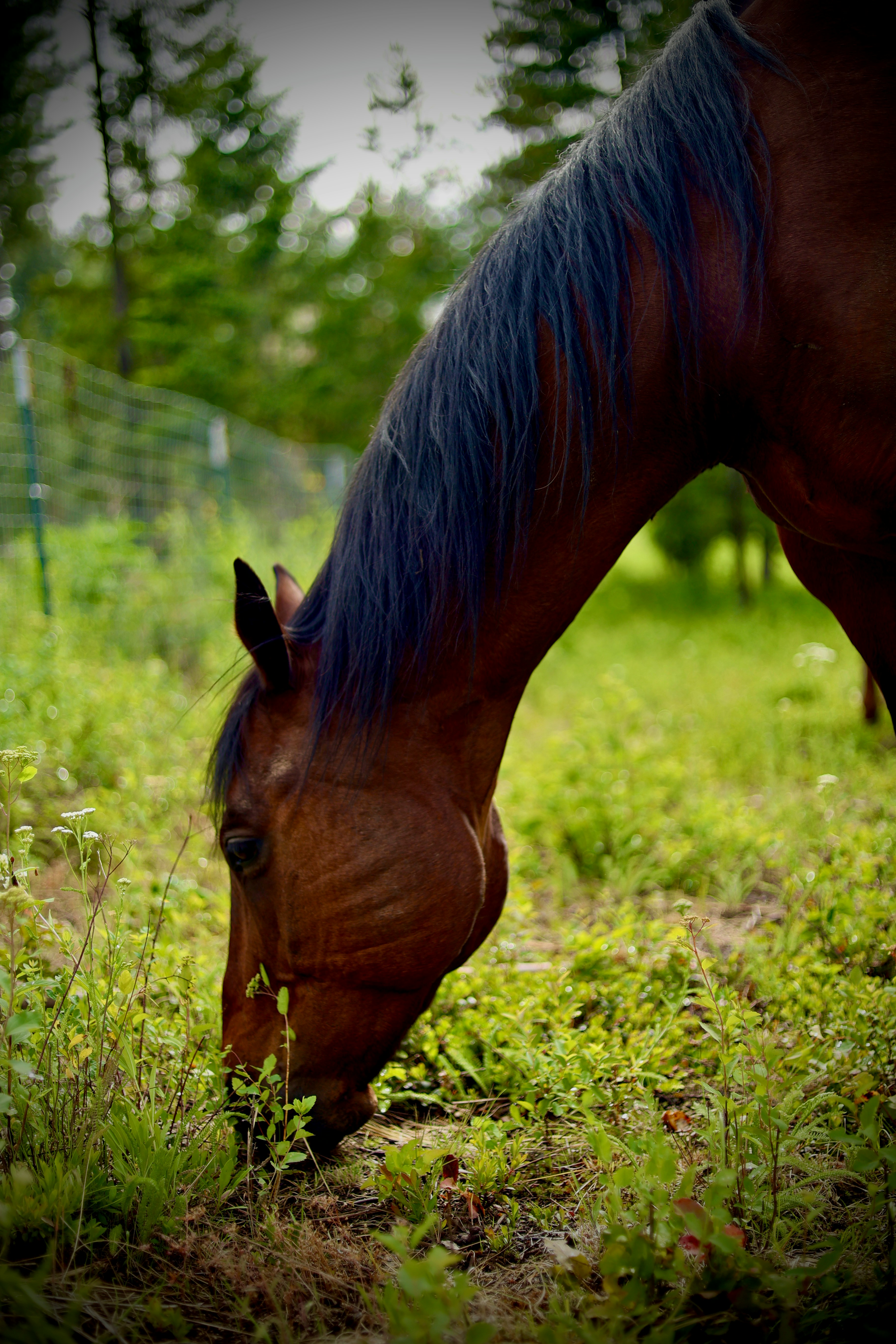 Photo by city2forest