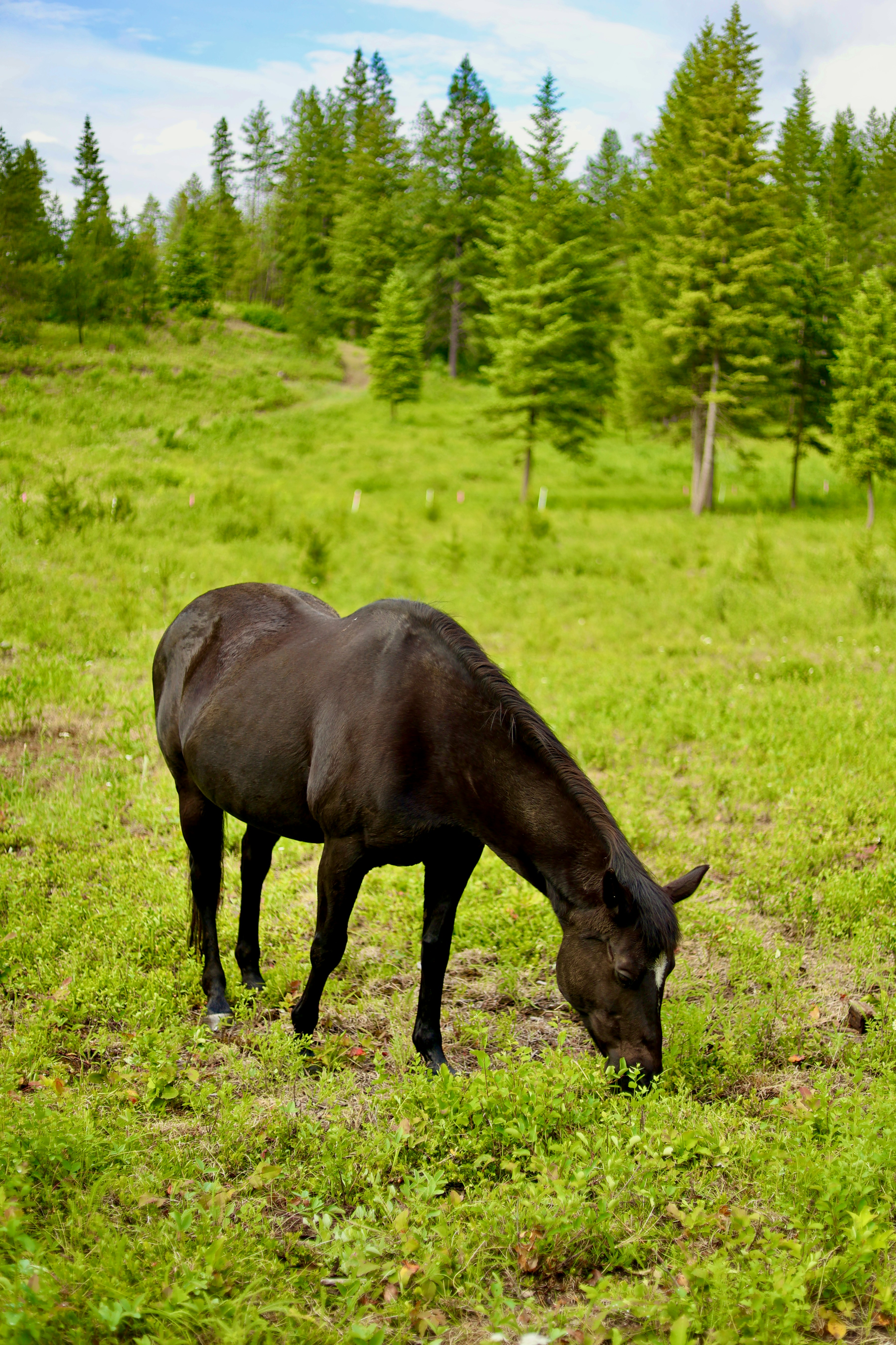 Photo by city2forest