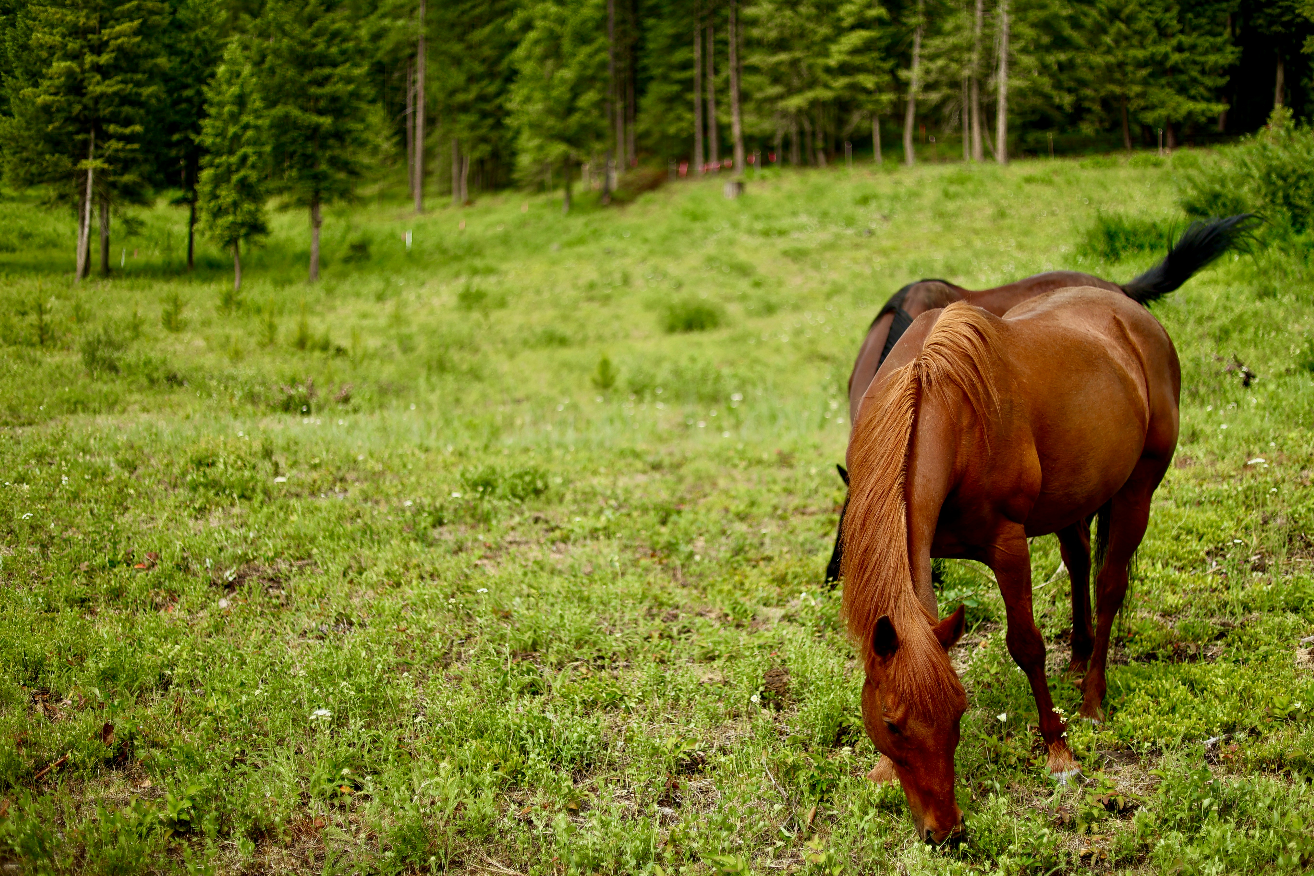 Photo by city2forest