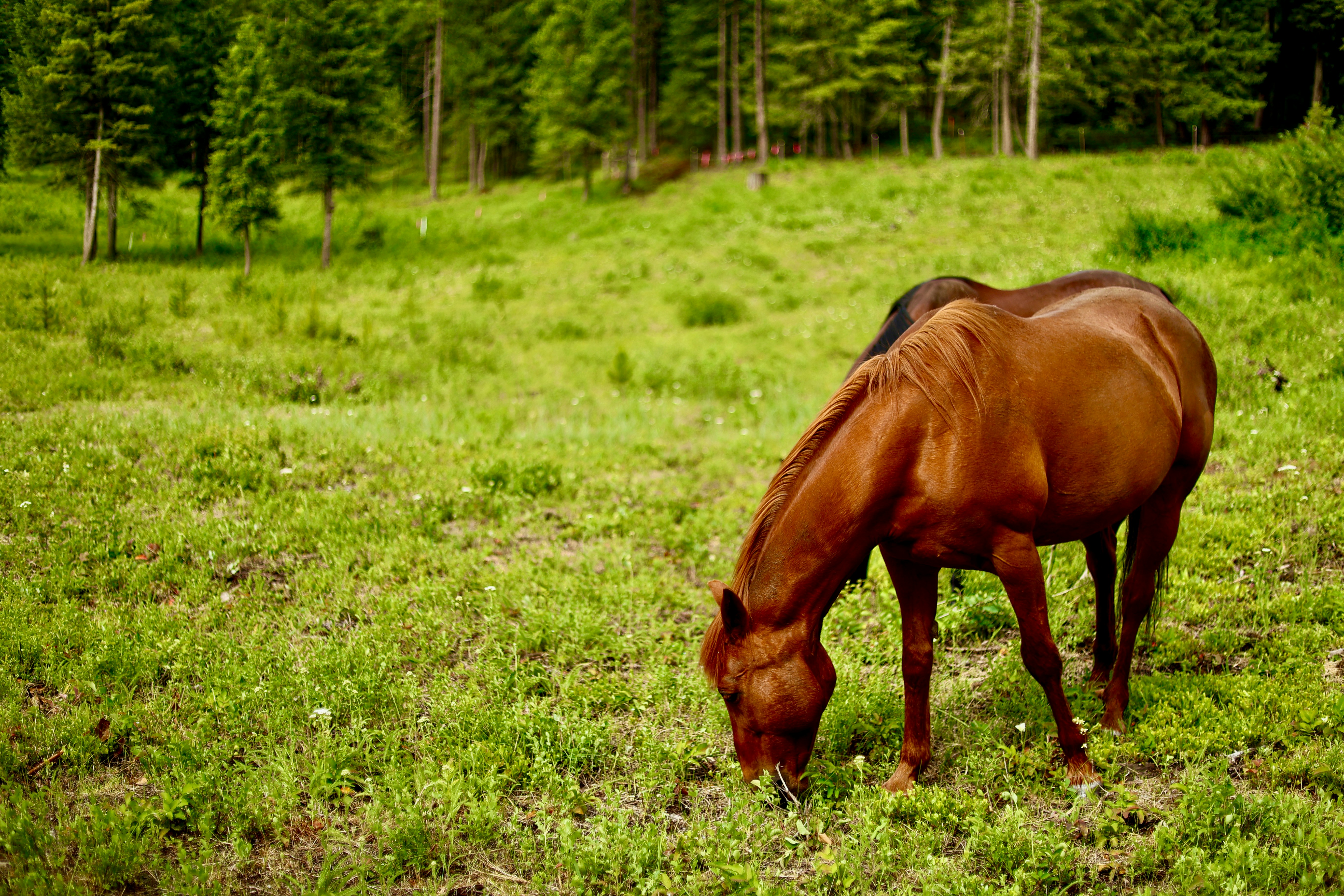 Photo by city2forest