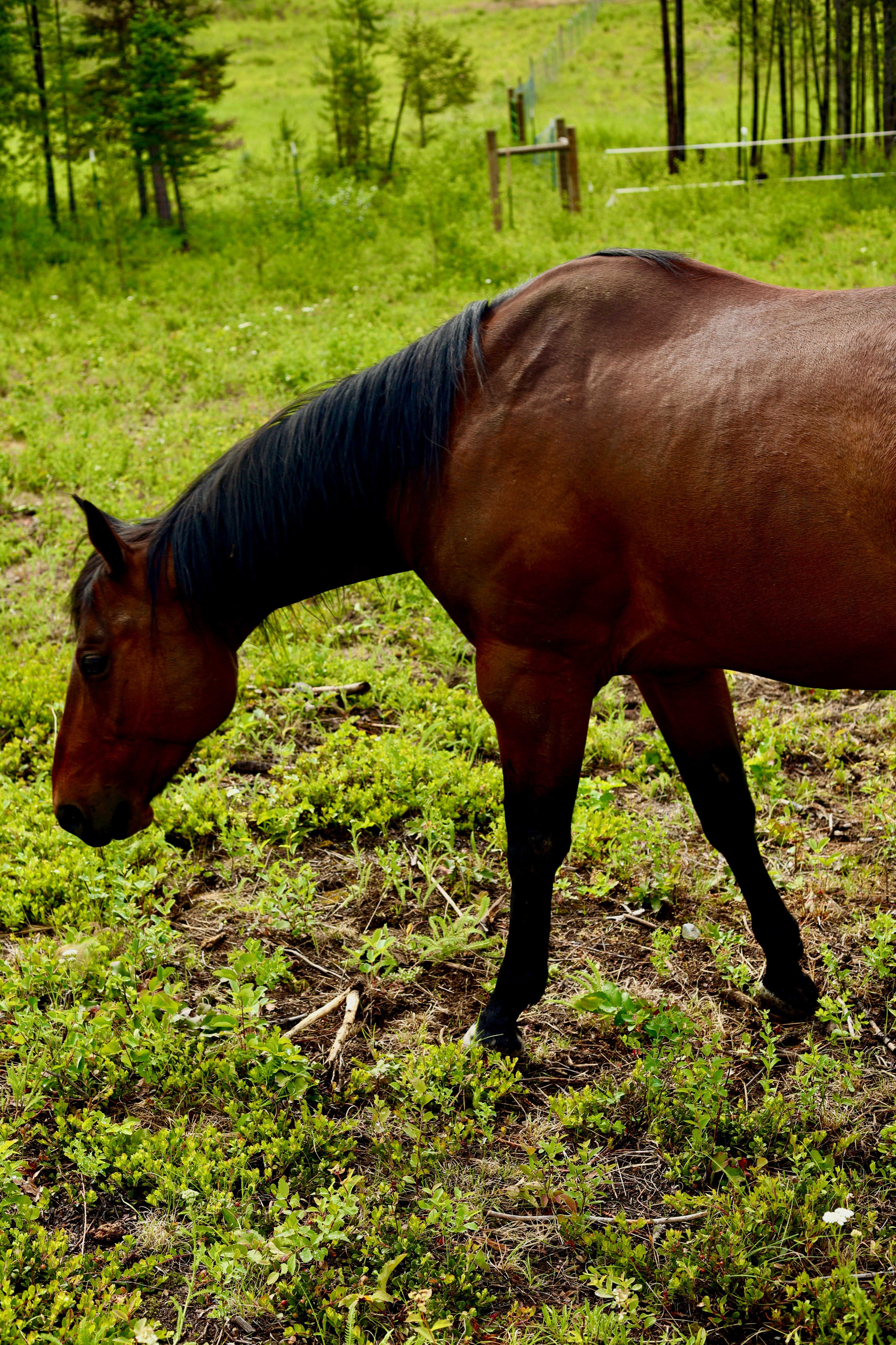 Photo by city2forest