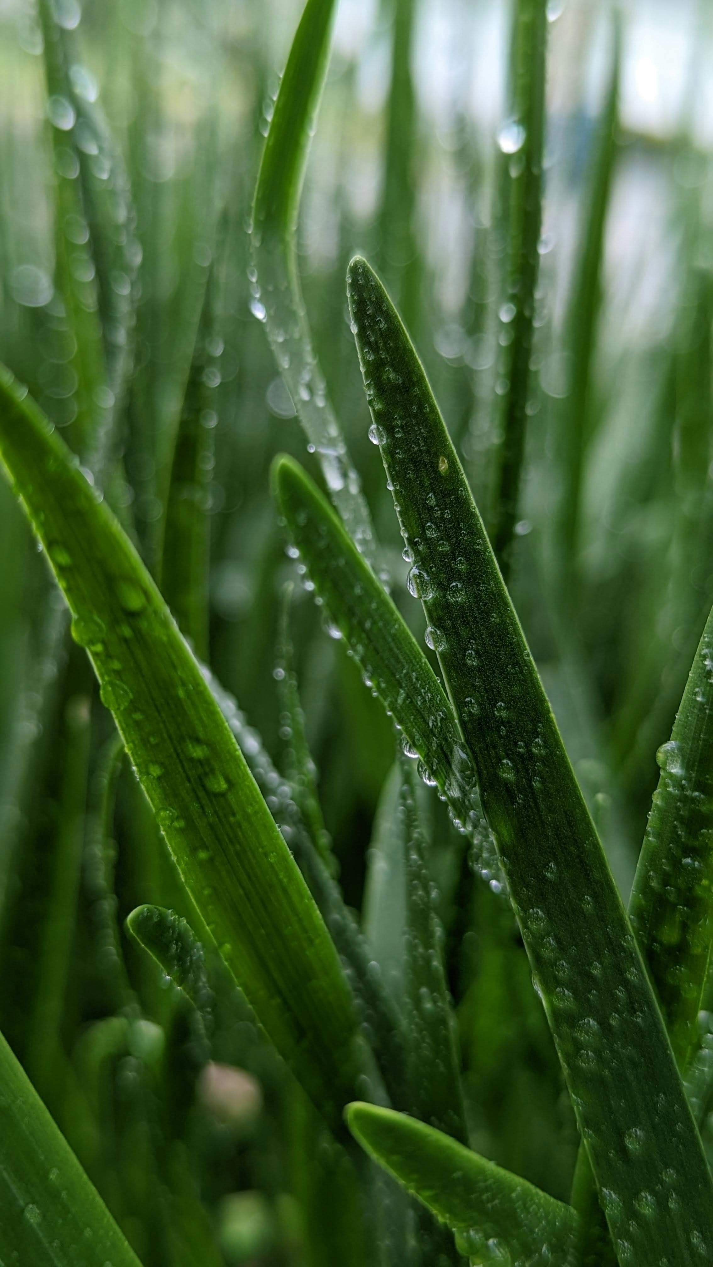 Photo by giginkrishnan