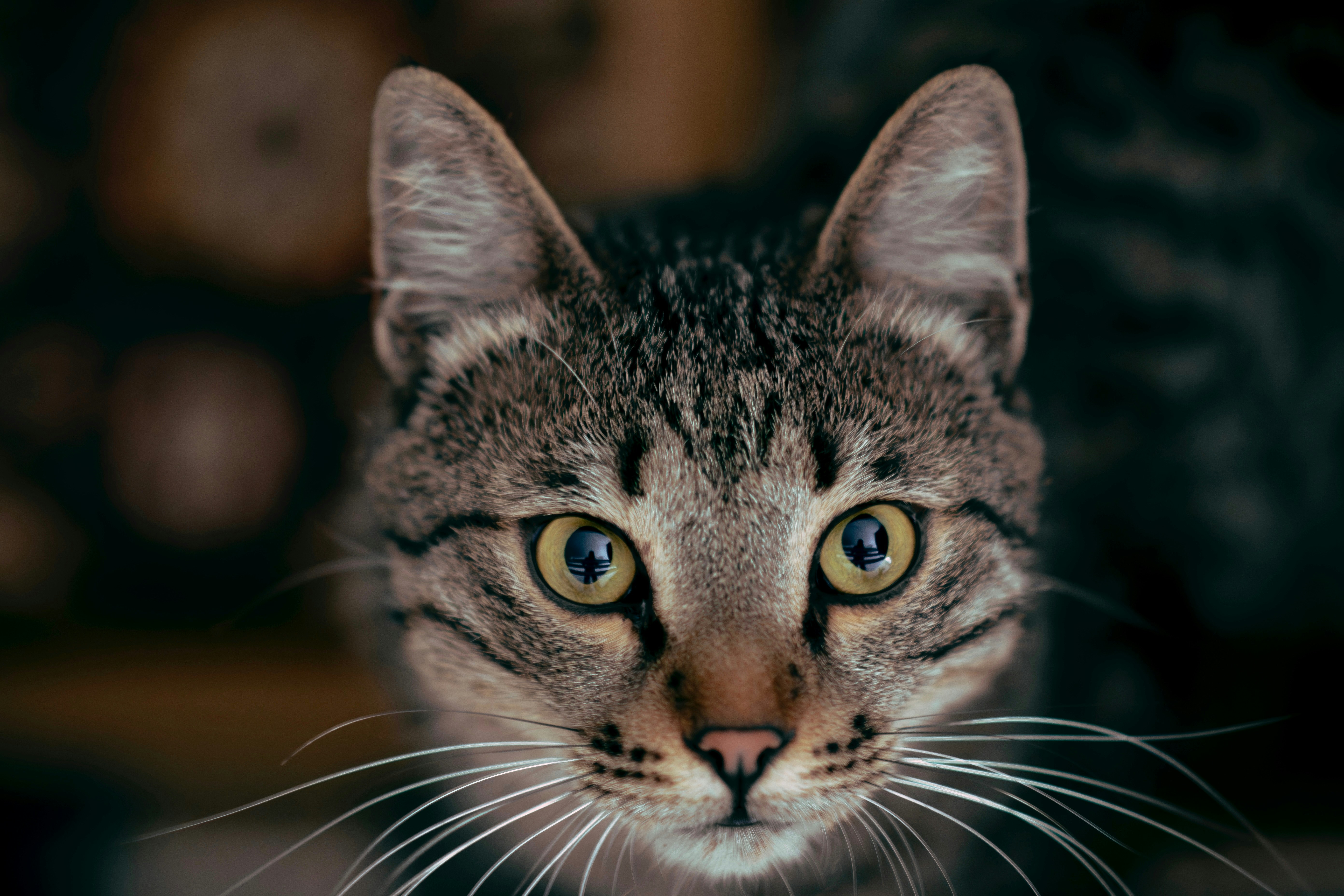 Photo by pouryaheydari