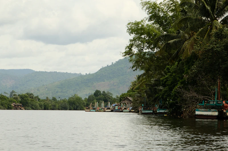 Best Affordable Bars in Kampot Where You Can Actually Afford a Round