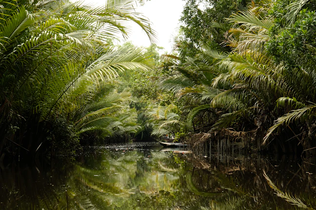 Kampot Family Itinerary: 2-Day Kid-Friendly Guide