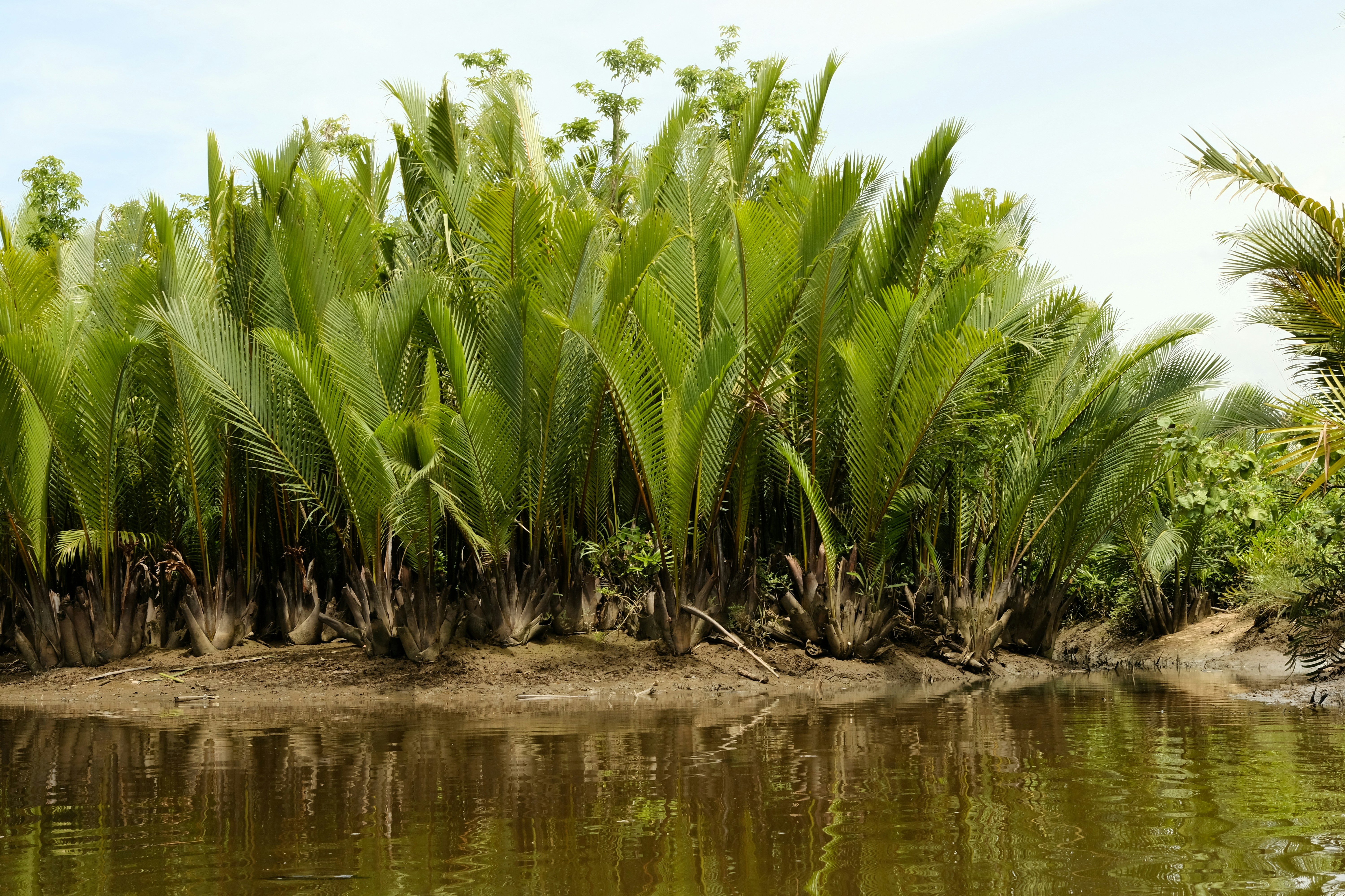 Kampot – Accommodation & Where to Stay