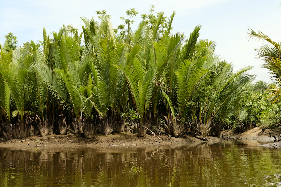 Luxury 3-Day Kampot Itinerary | Premium Cambodia Travel Guide
