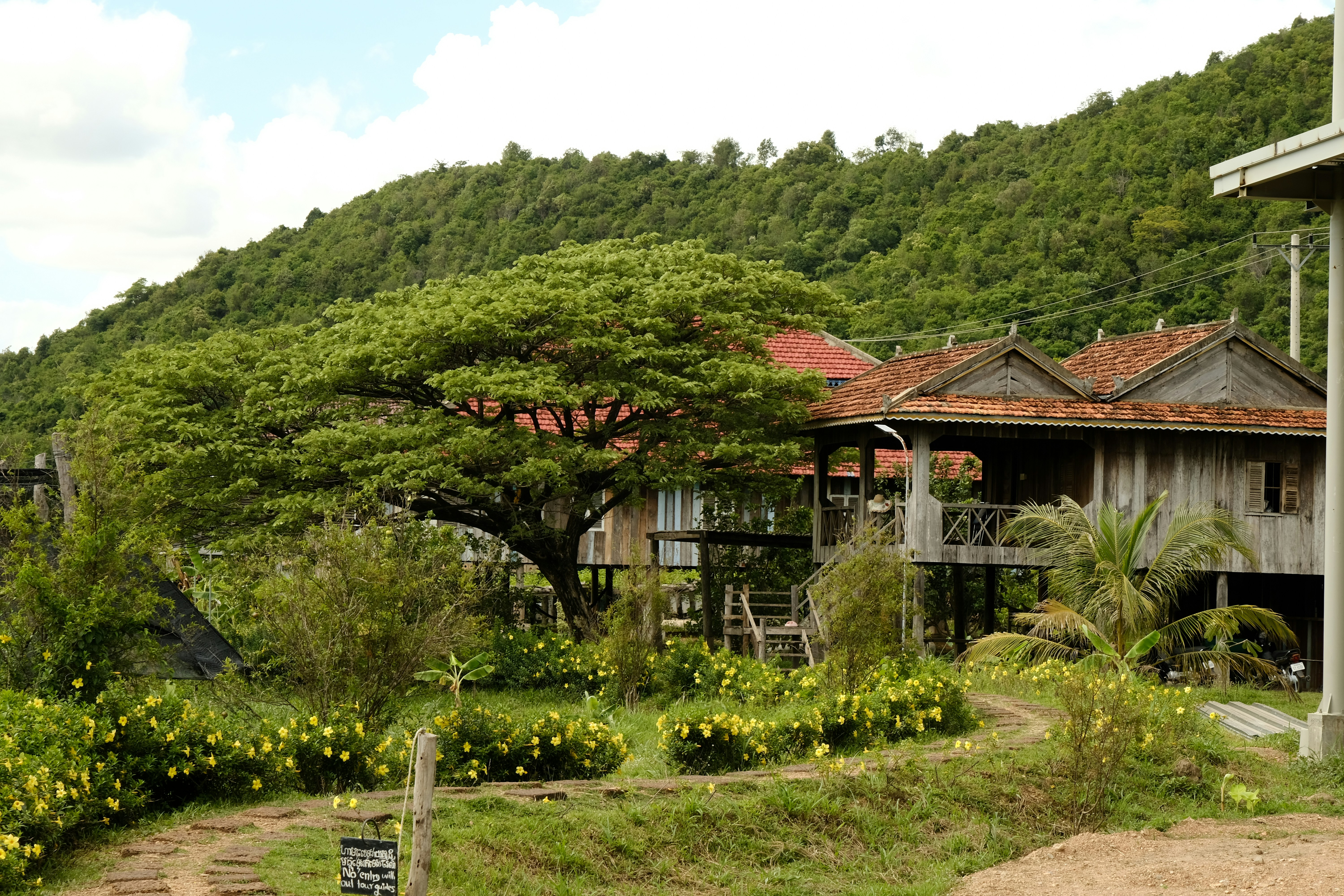 A house on a hill with trees in the background