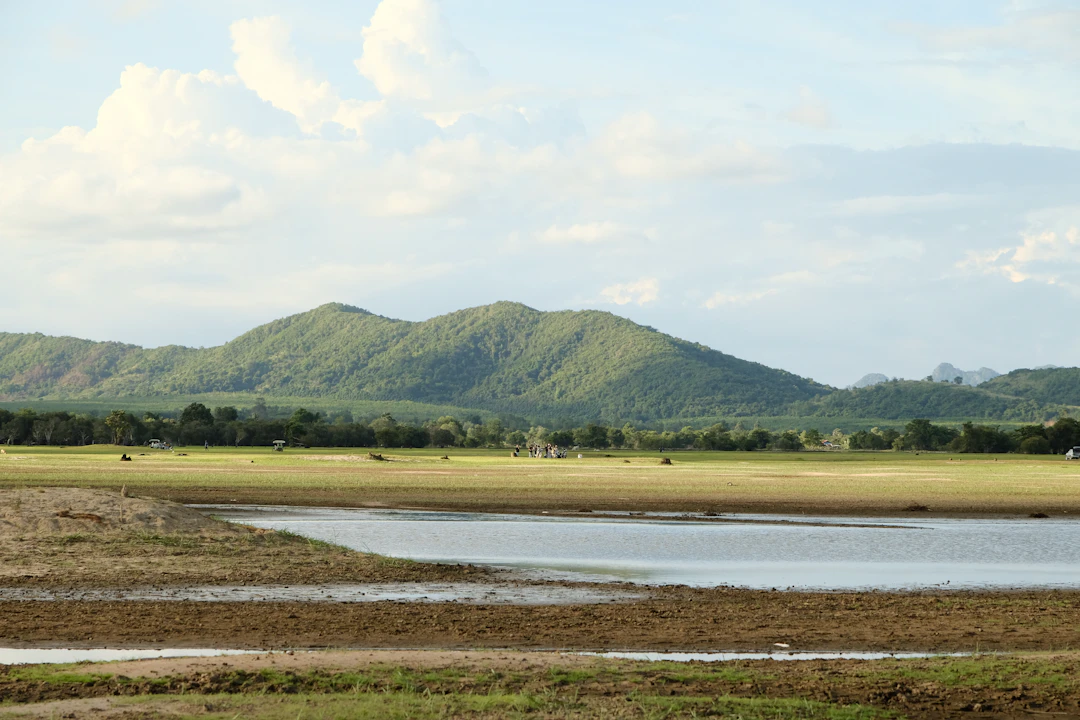 3-Day Mondulkiri Family Itinerary: Nature & Pacing