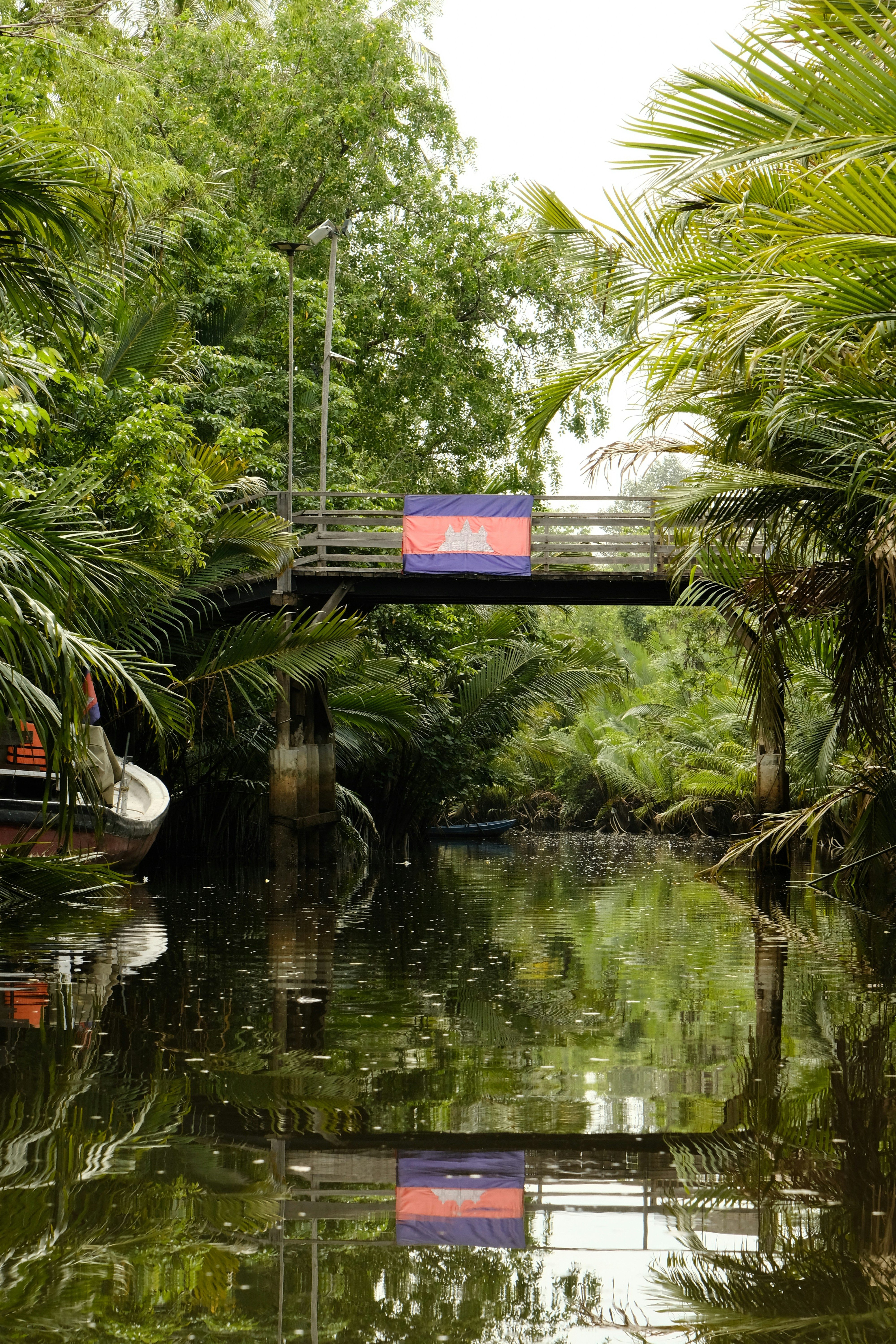 A bridge over a body of water surrounded by trees photo – Free River ...