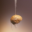 A drop of water with a human brain hanging from it