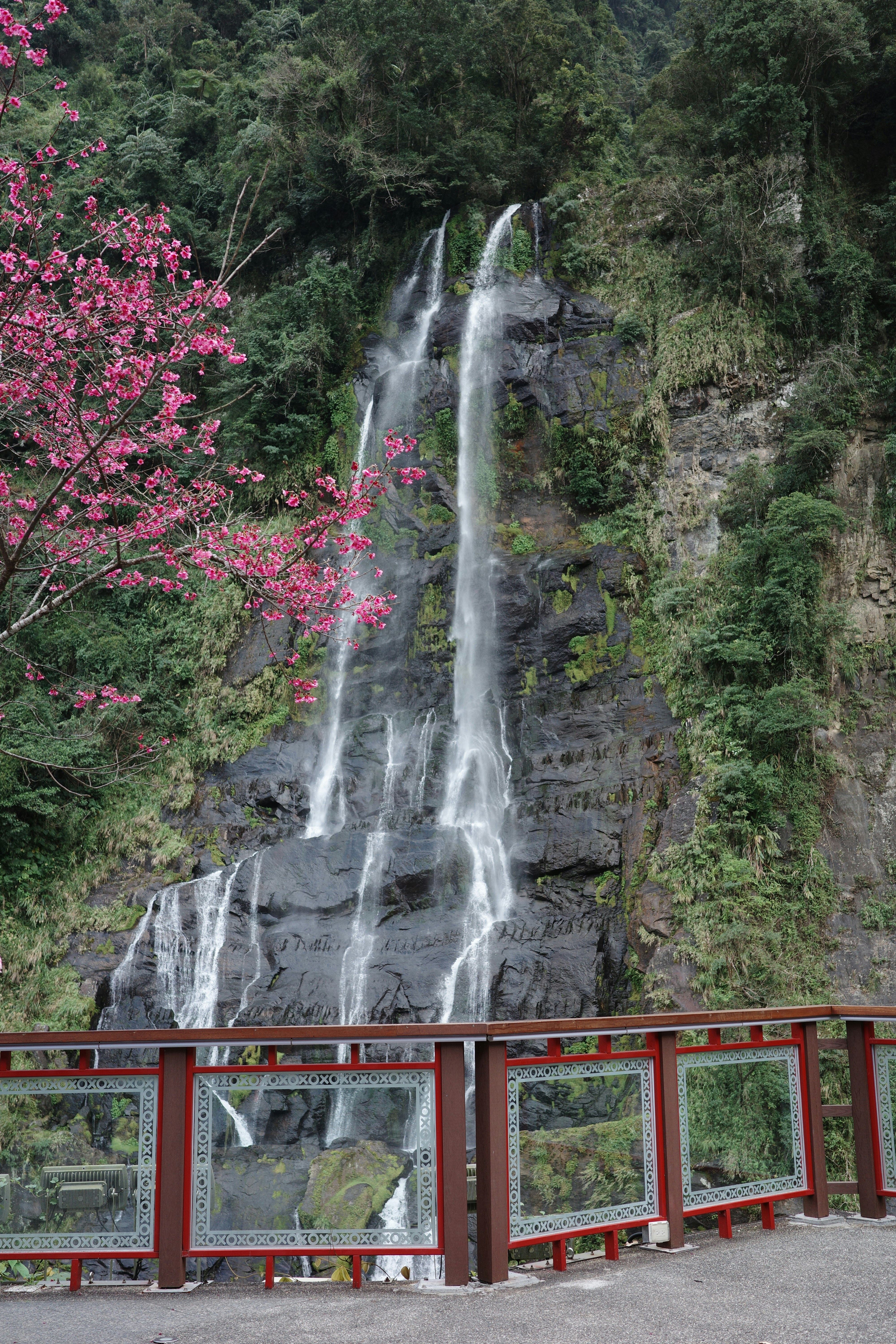 Nachi Falls and Kumano Hongu Taisha