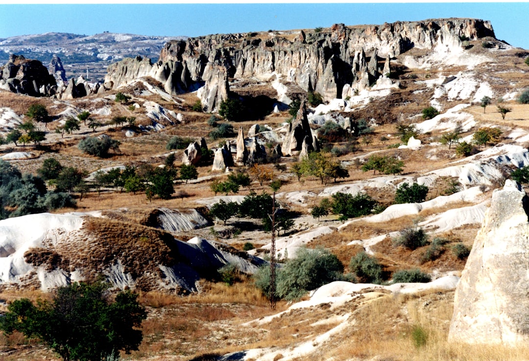 A rocky landscape with trees and bushes in the foreground,