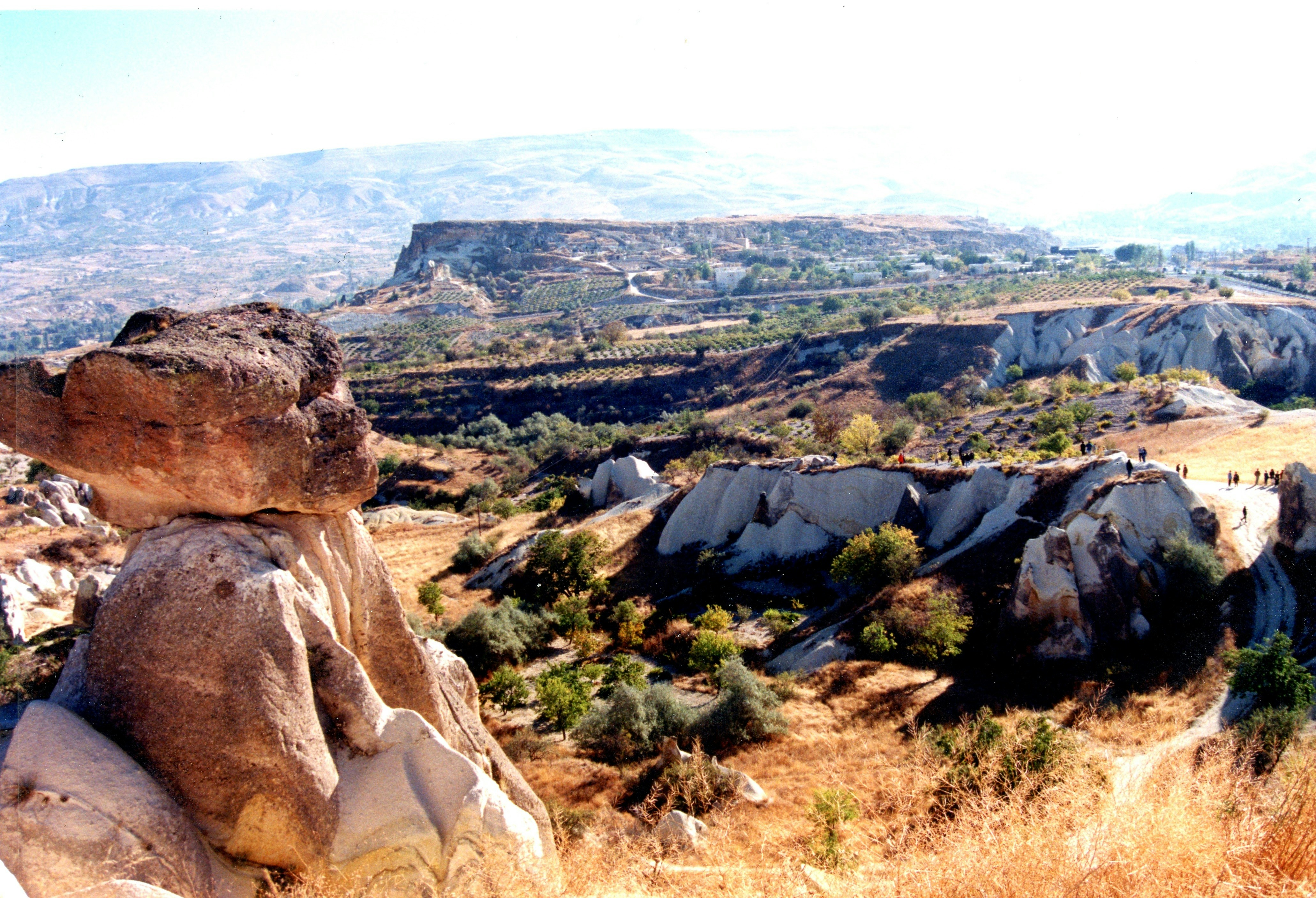A rock formation in the middle of a field, 