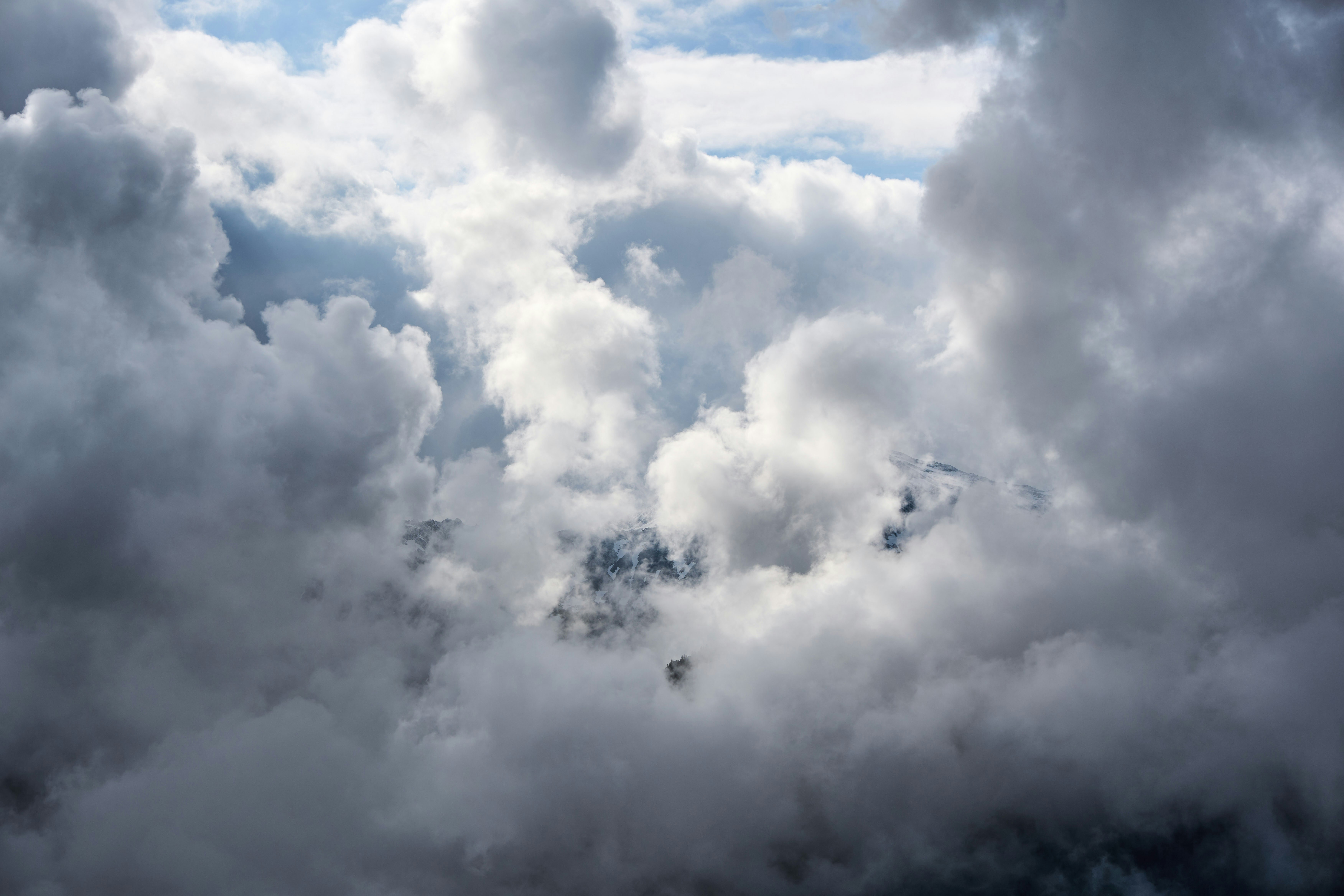 Photo by wolfgang_hasselmann