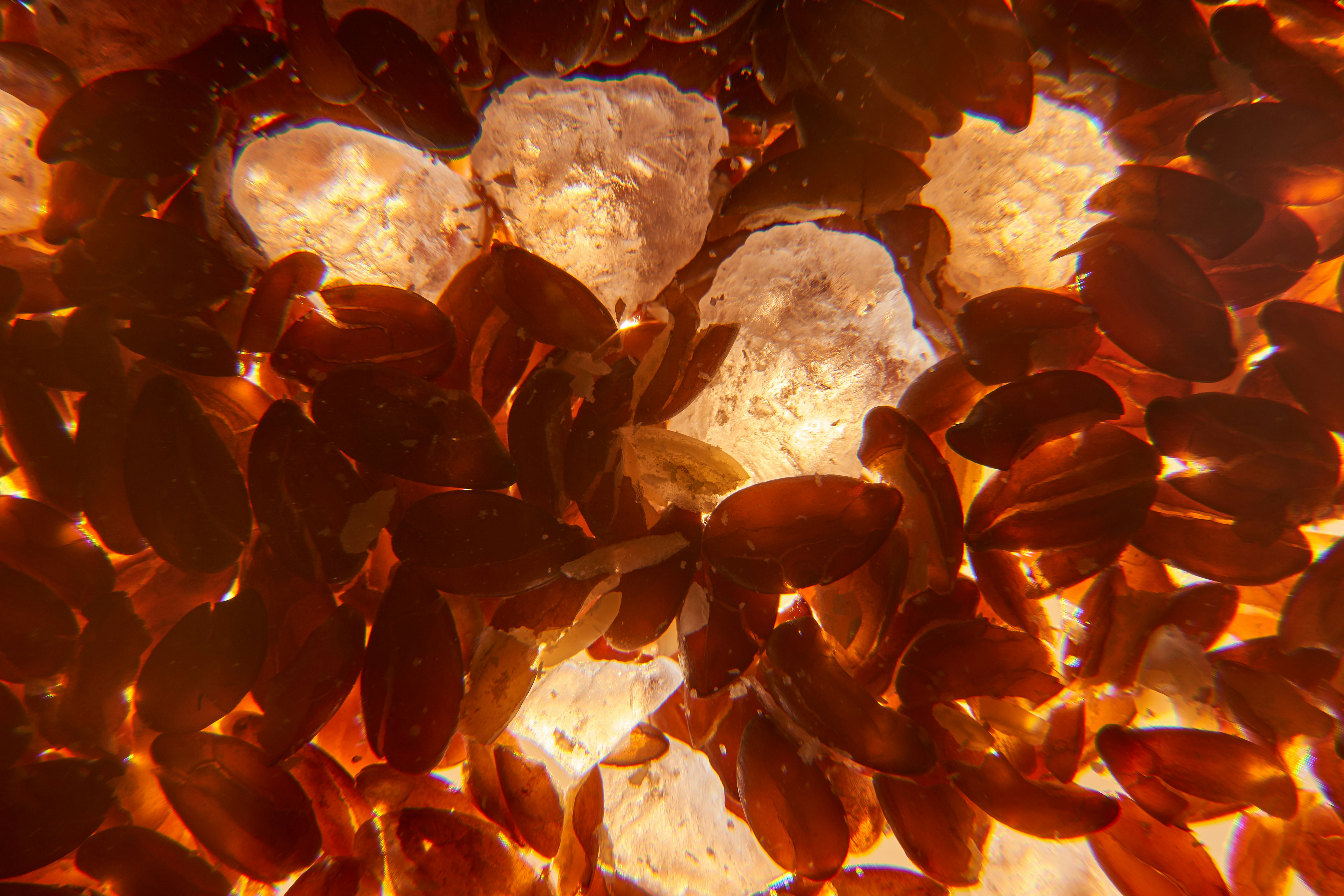 Photo by wolfgang_hasselmann