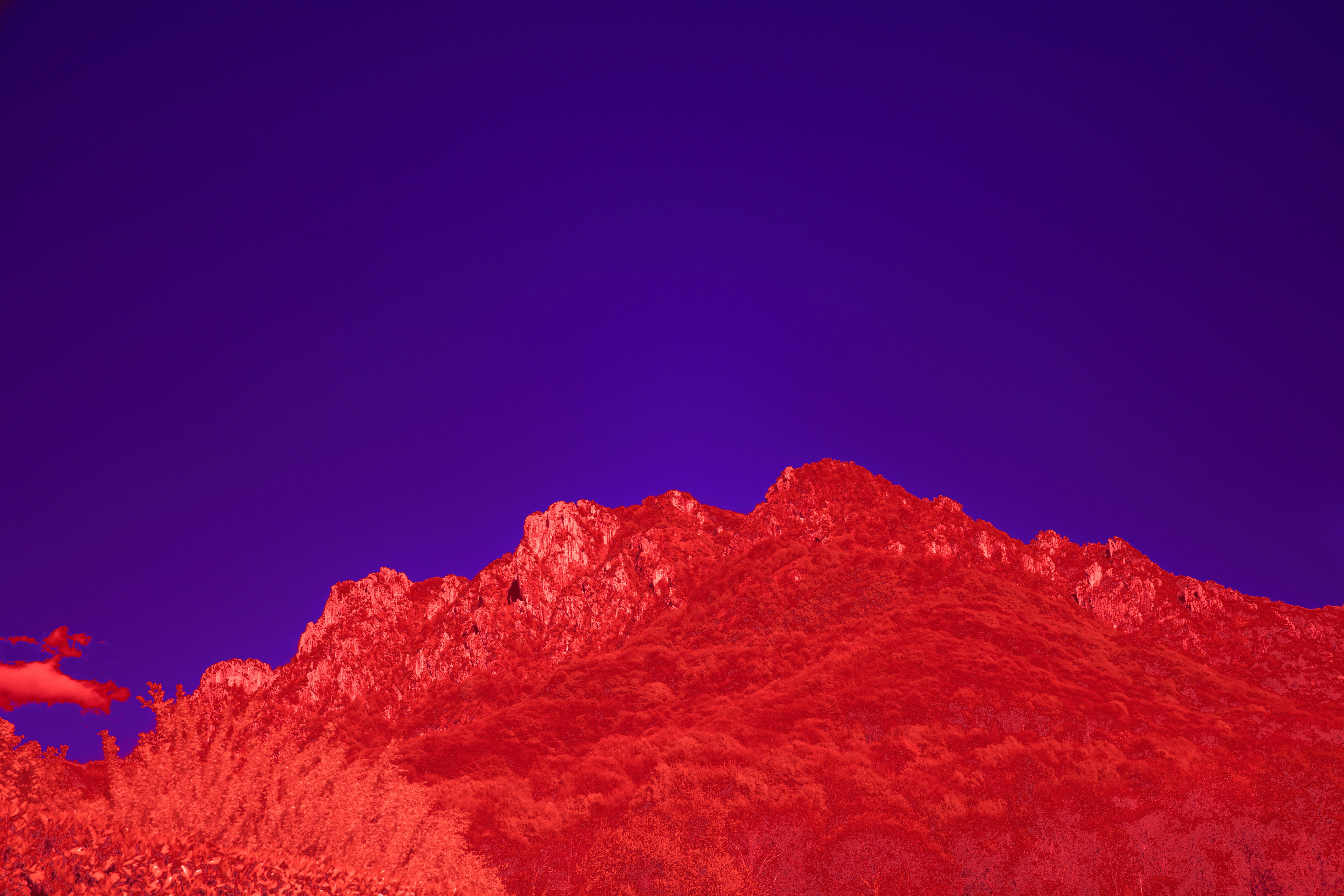 Photo by wolfgang_hasselmann