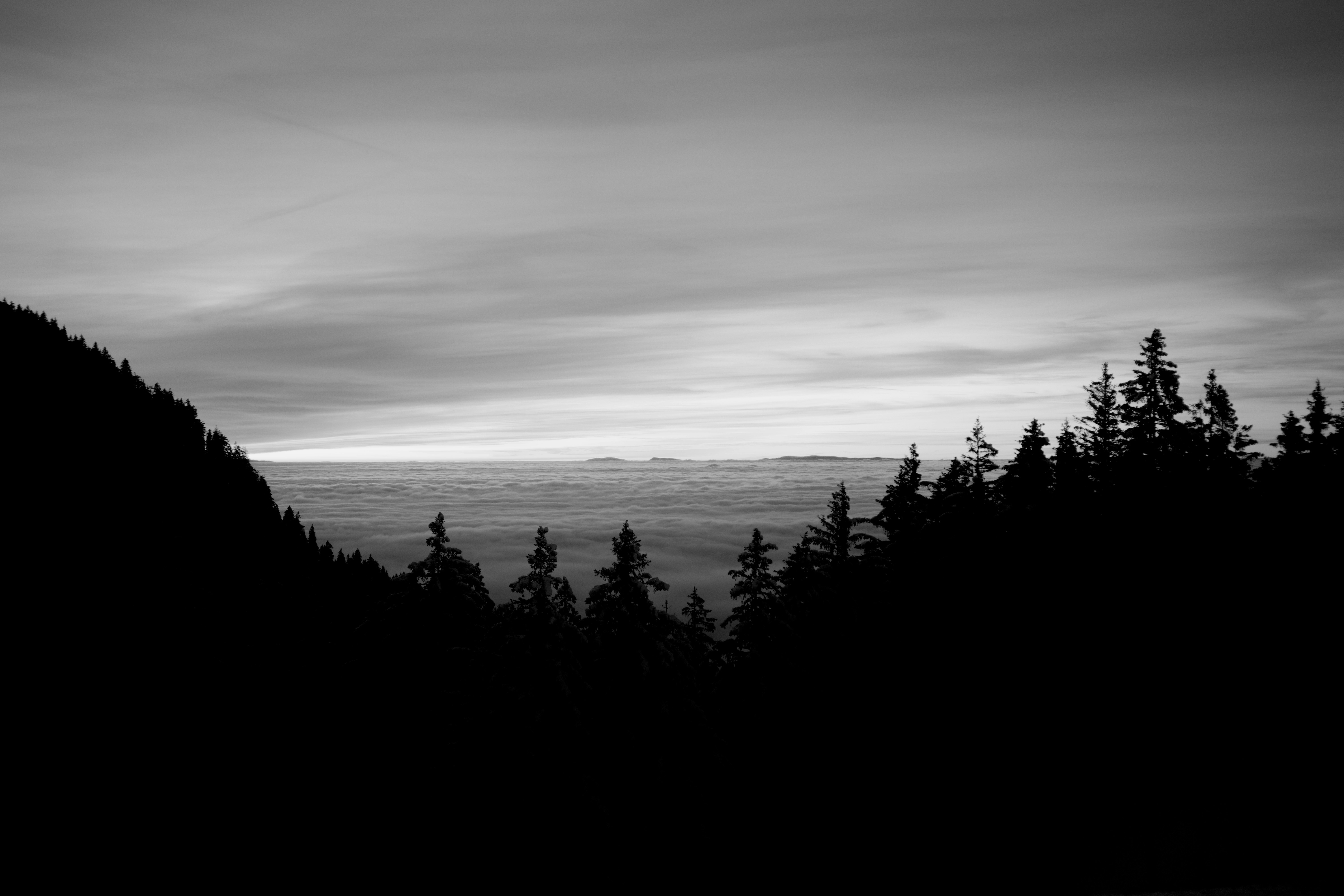 Photo by janbehnisch