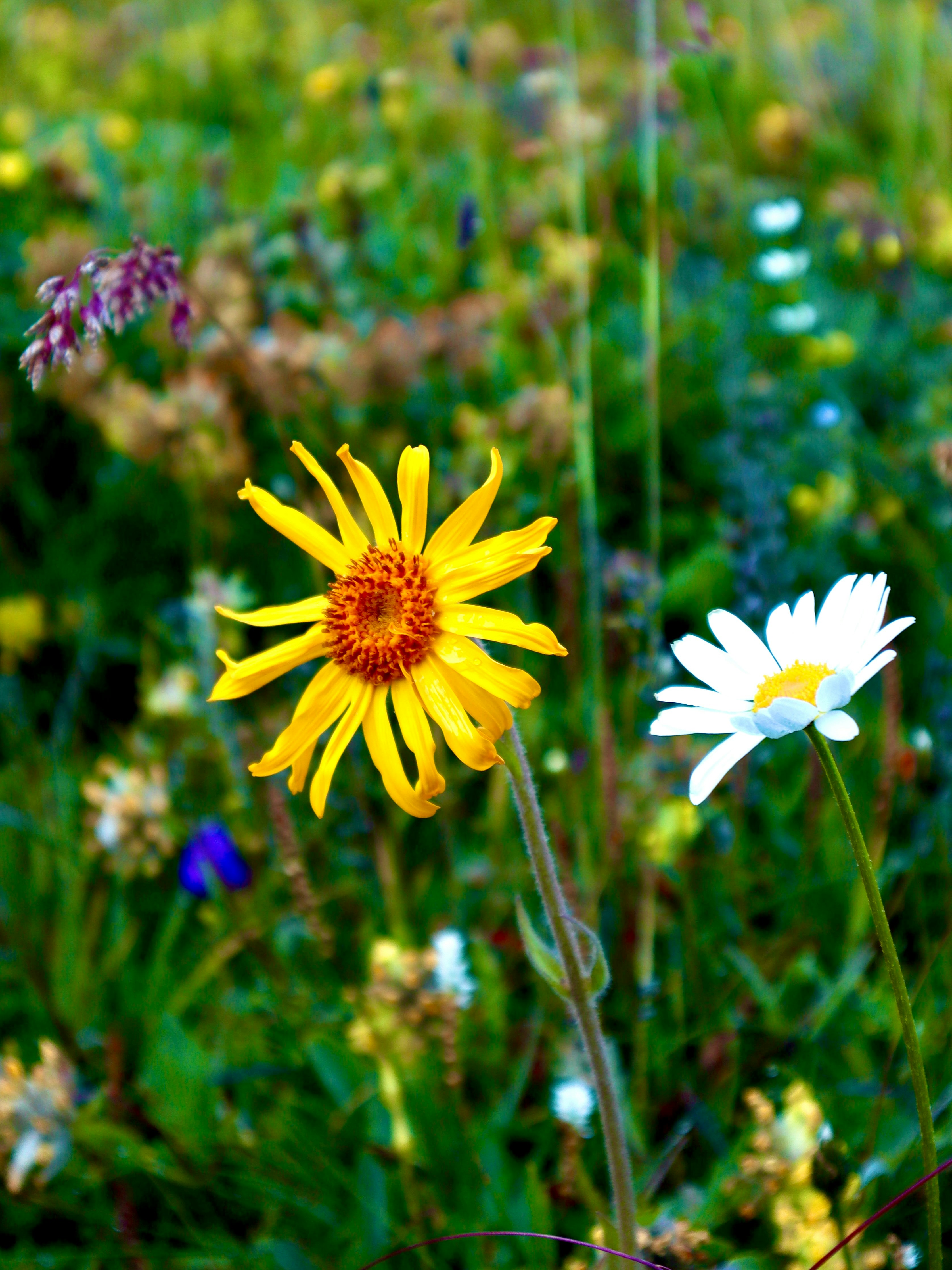 Photo by janbehnisch