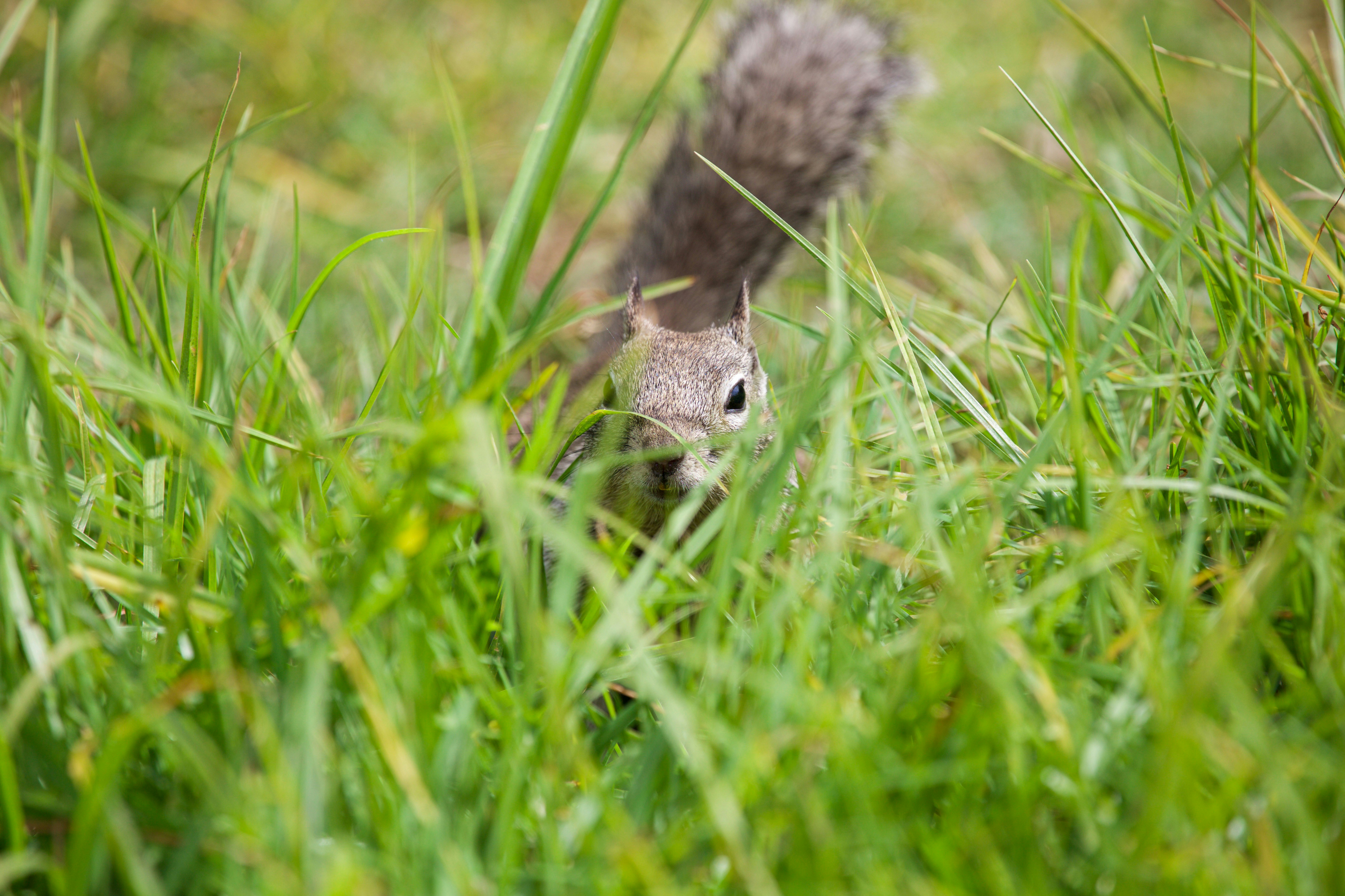 Photo by matthewmentley