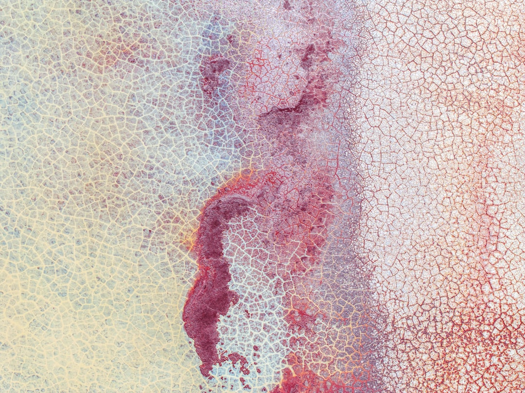 A close up of a piece of art, This is a series of texture shots from the Alvord Desert hot springs in remote Southeast Oregon. There is some wild geology/chemistry happening in this location. Water boils up from these hot springs and trickles onto the sun-baked surface of the nearby playa. The red comes from dissolved volcanic rocks. I love the seemingly chaotic nature of it all…until you start to take a closer look. Then you begin to see the rhythm and patterns of this extreme and remote landscape.