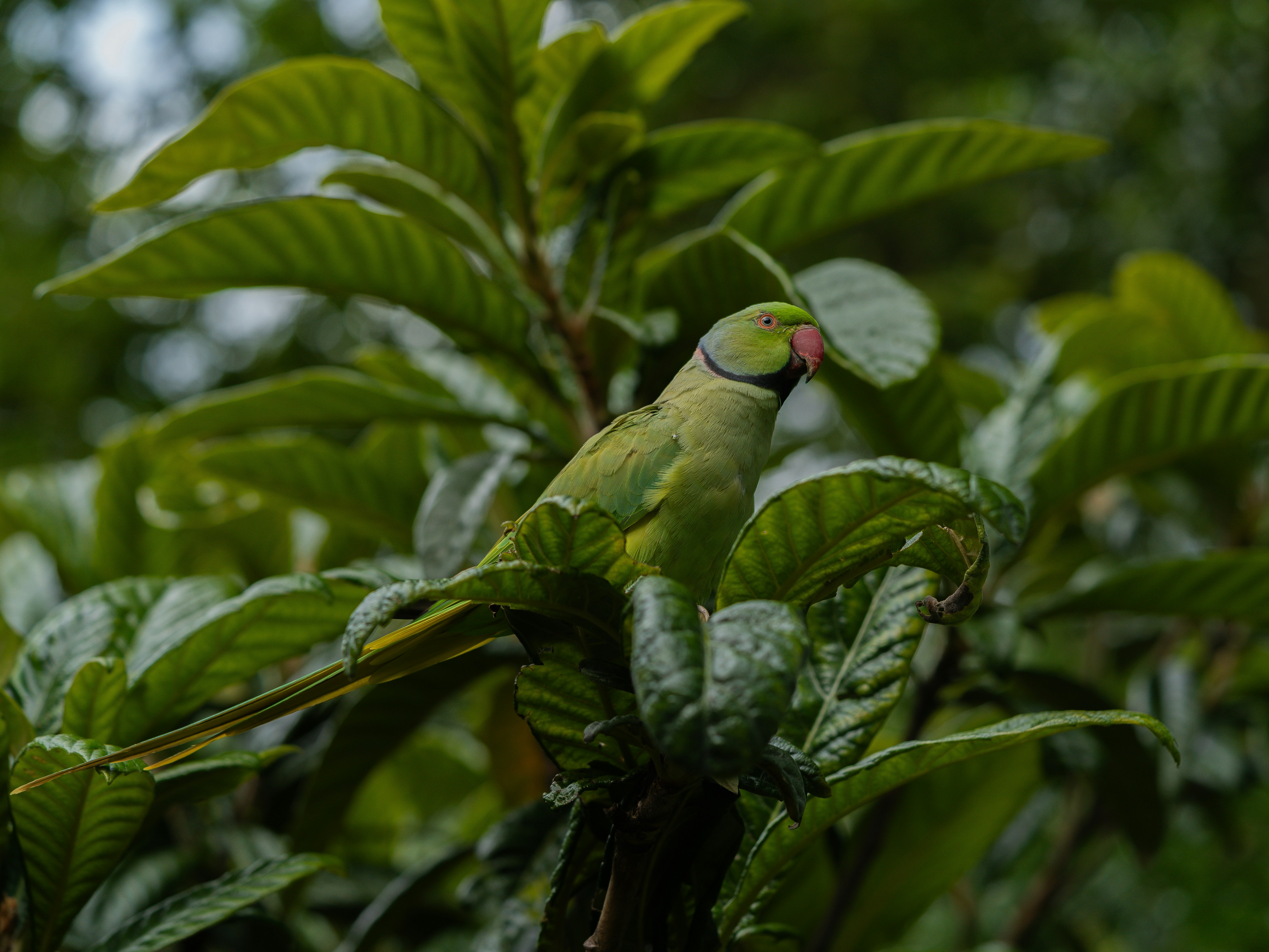 Photo by fatihsimsek