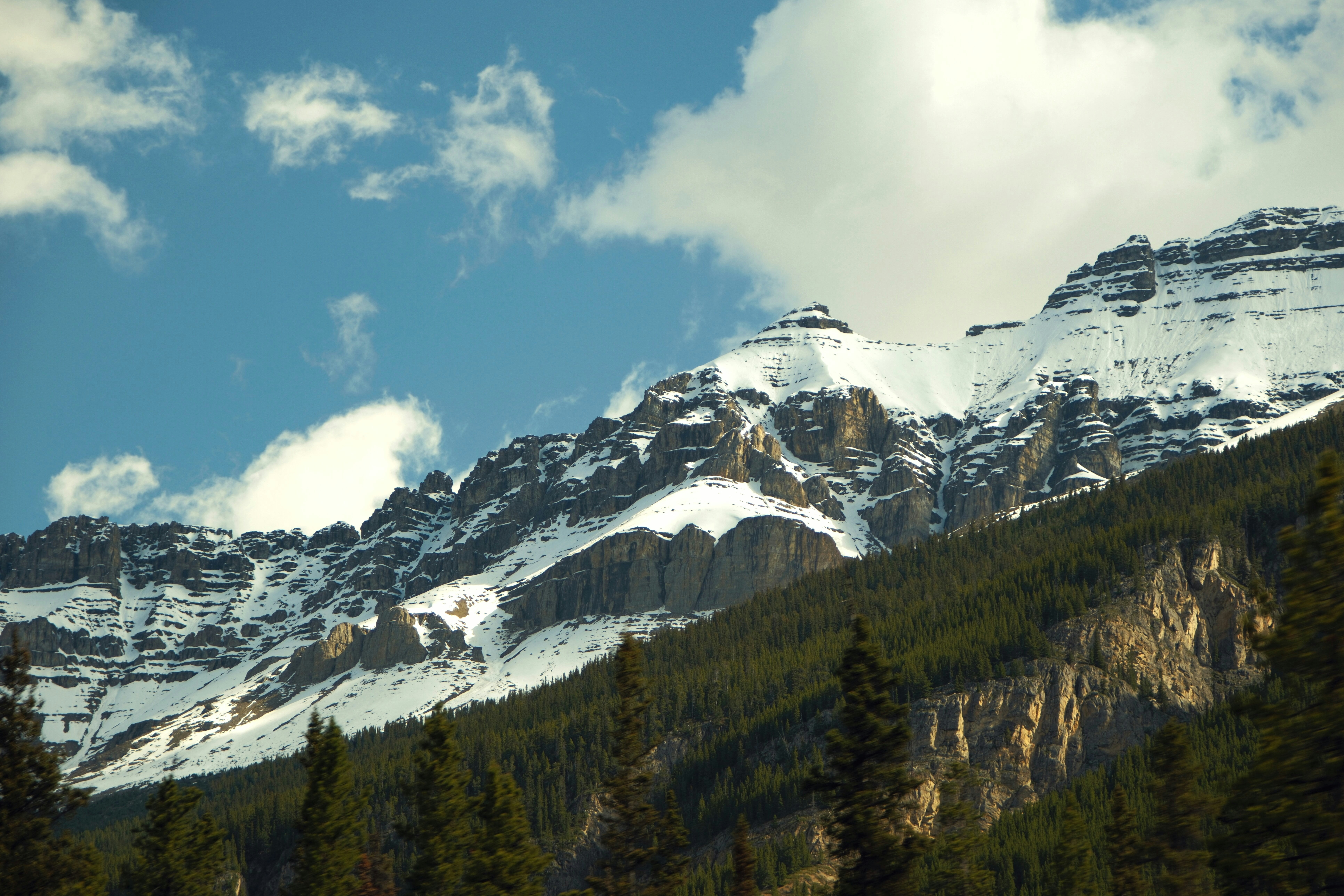 8 Top Ziplining Destinations in the Rocky Mountains