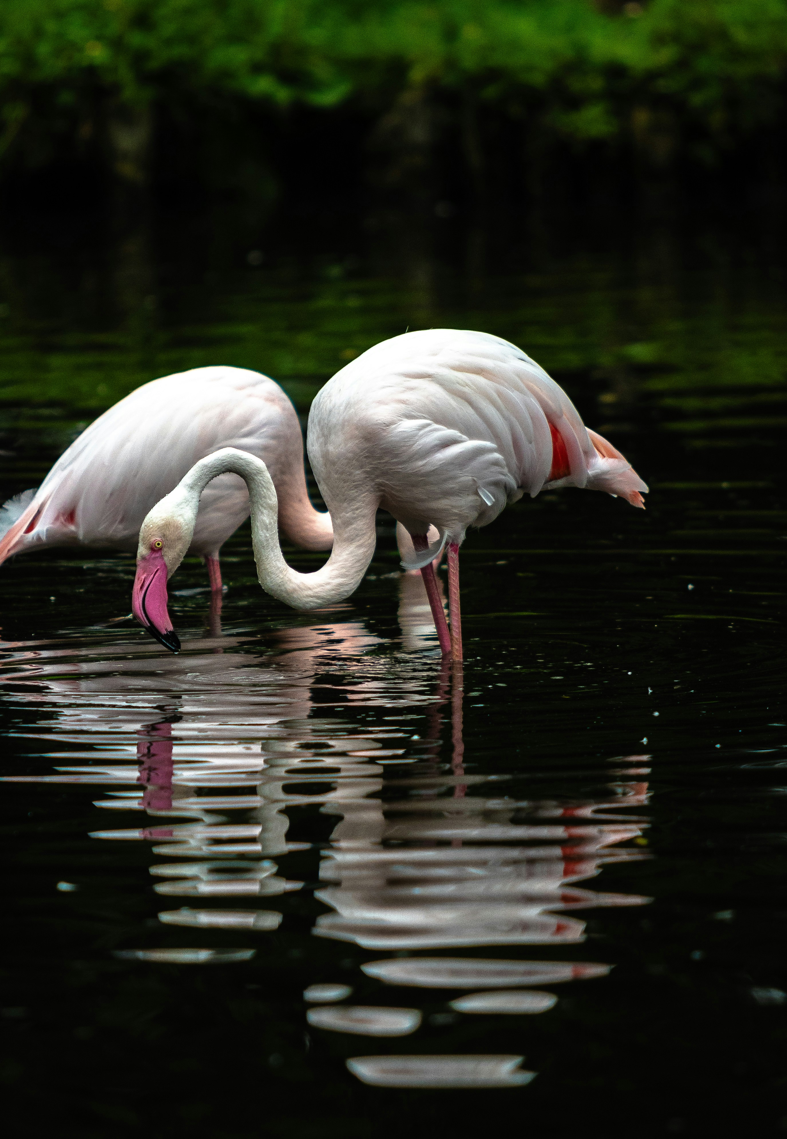 Photo by starkie_pics