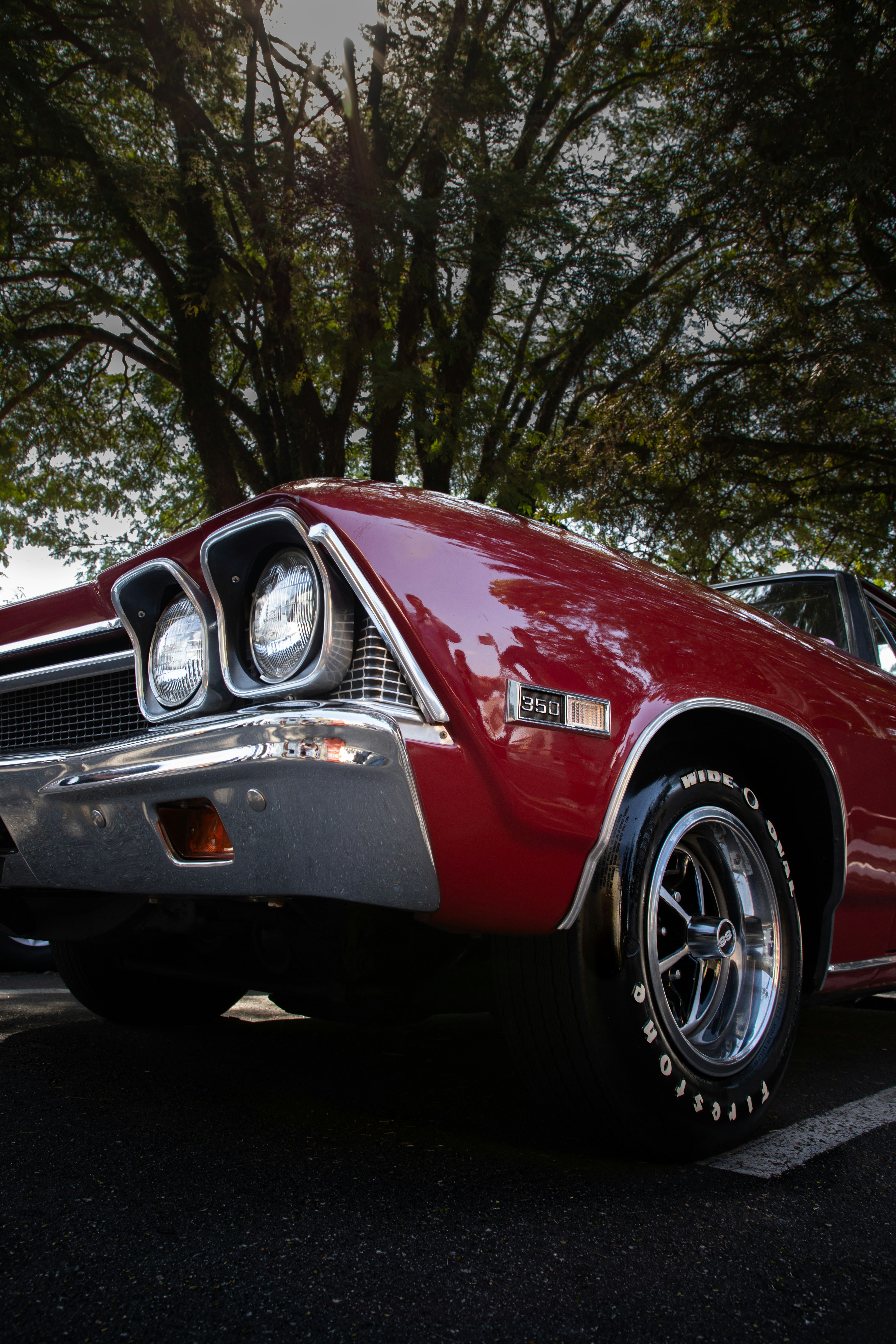 Photo by jsamuelsilva