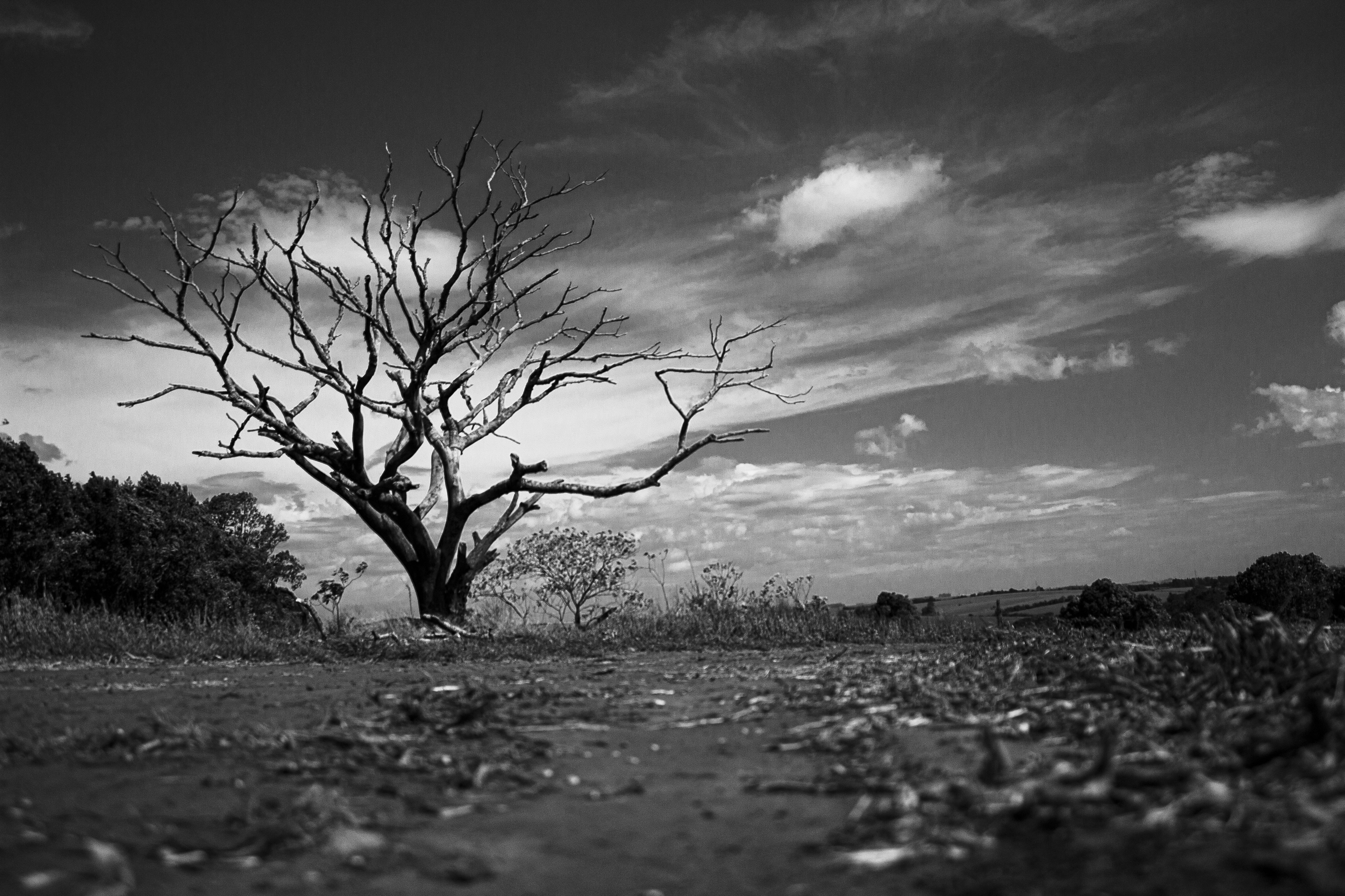 Photo by arturovideomaker