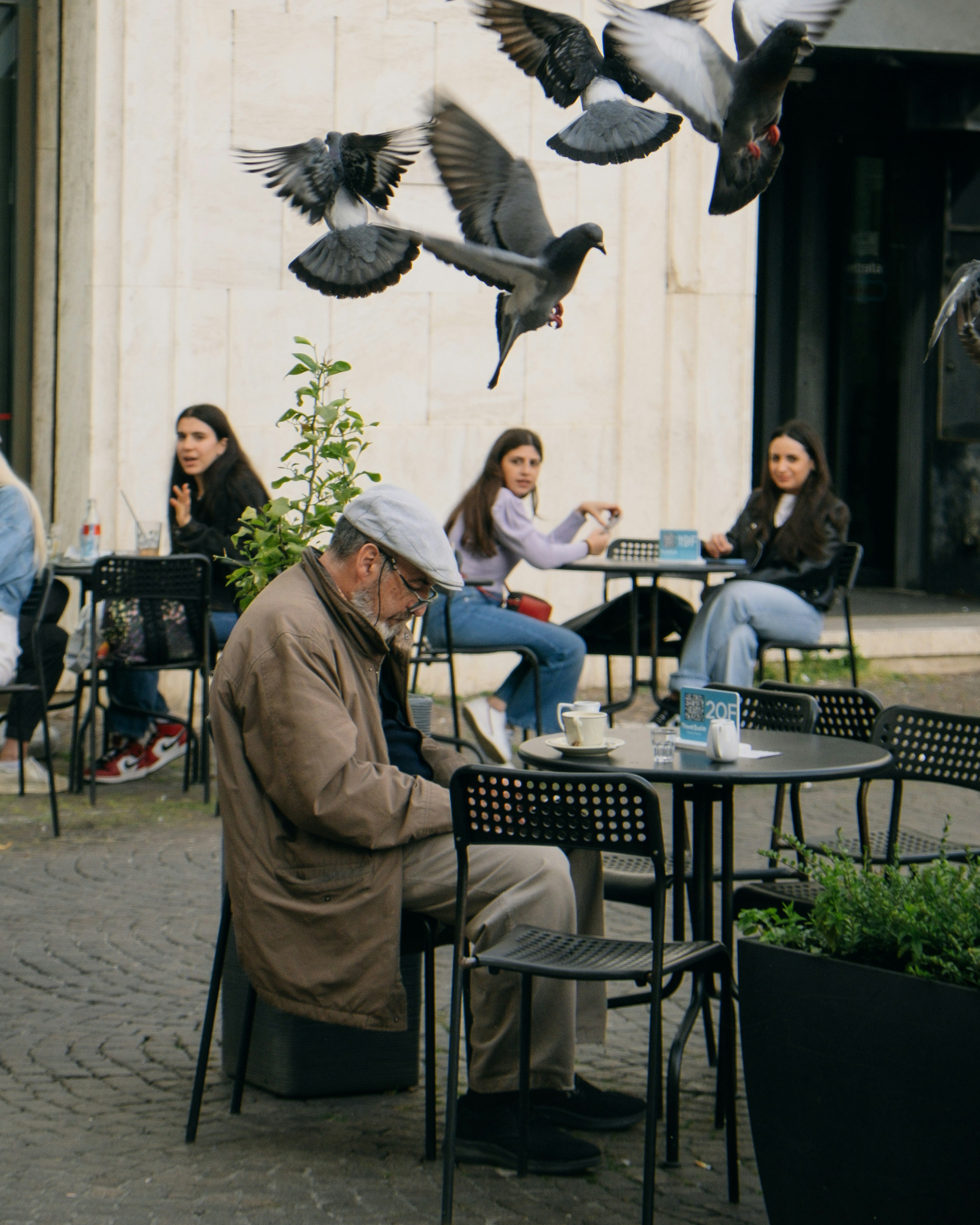 GILLIS CLAESZ. DE HONDECOETER (ANVERS 1575/1580-1638 AMSTERDAM), Trois  vaches, un oiseau et une grenouille dans un paysage | Christie's, image size:3000x3750