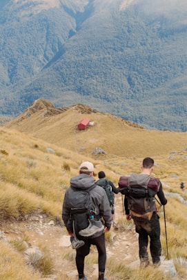 A group of people hiking up a hill