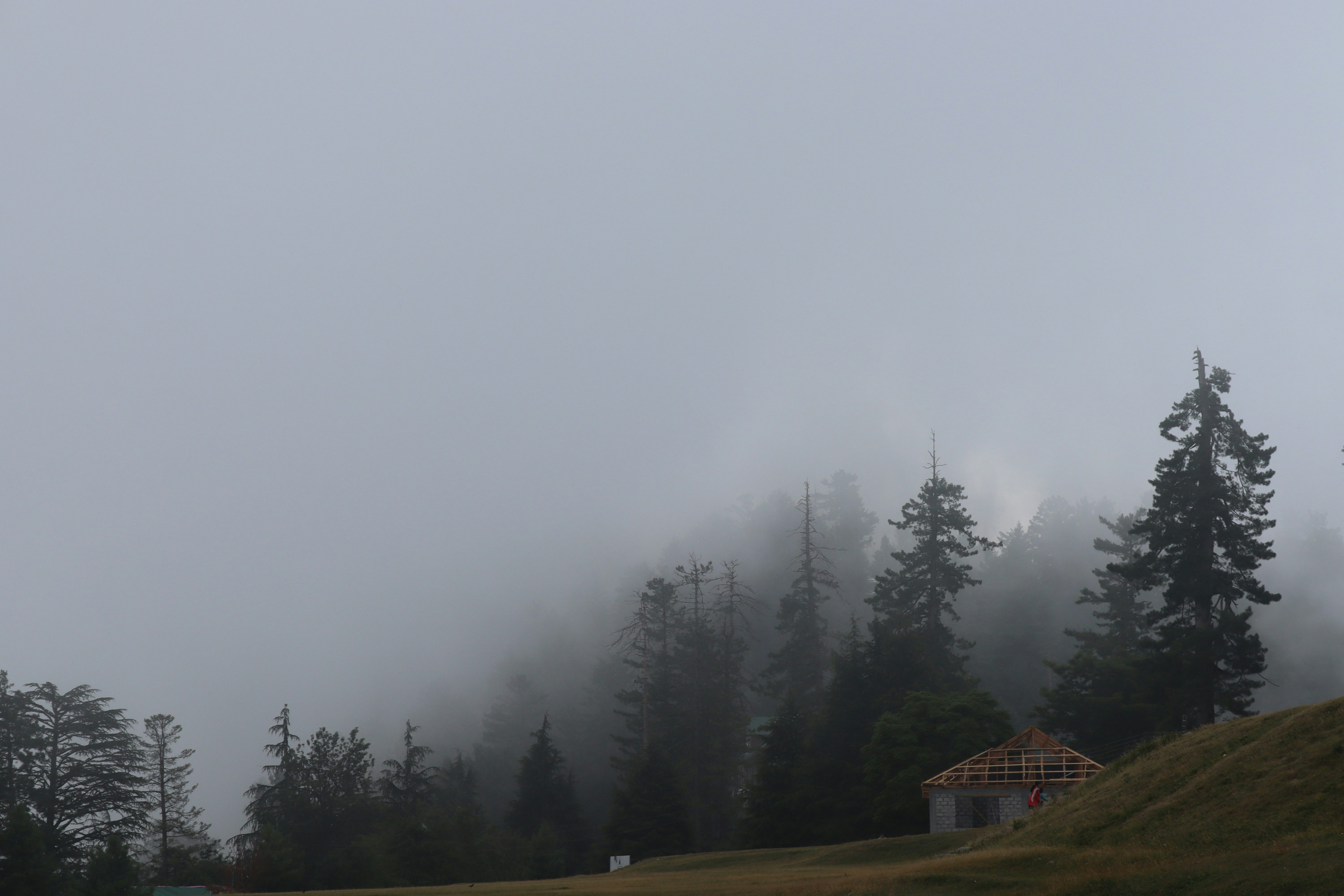 Photo by drphotographer152