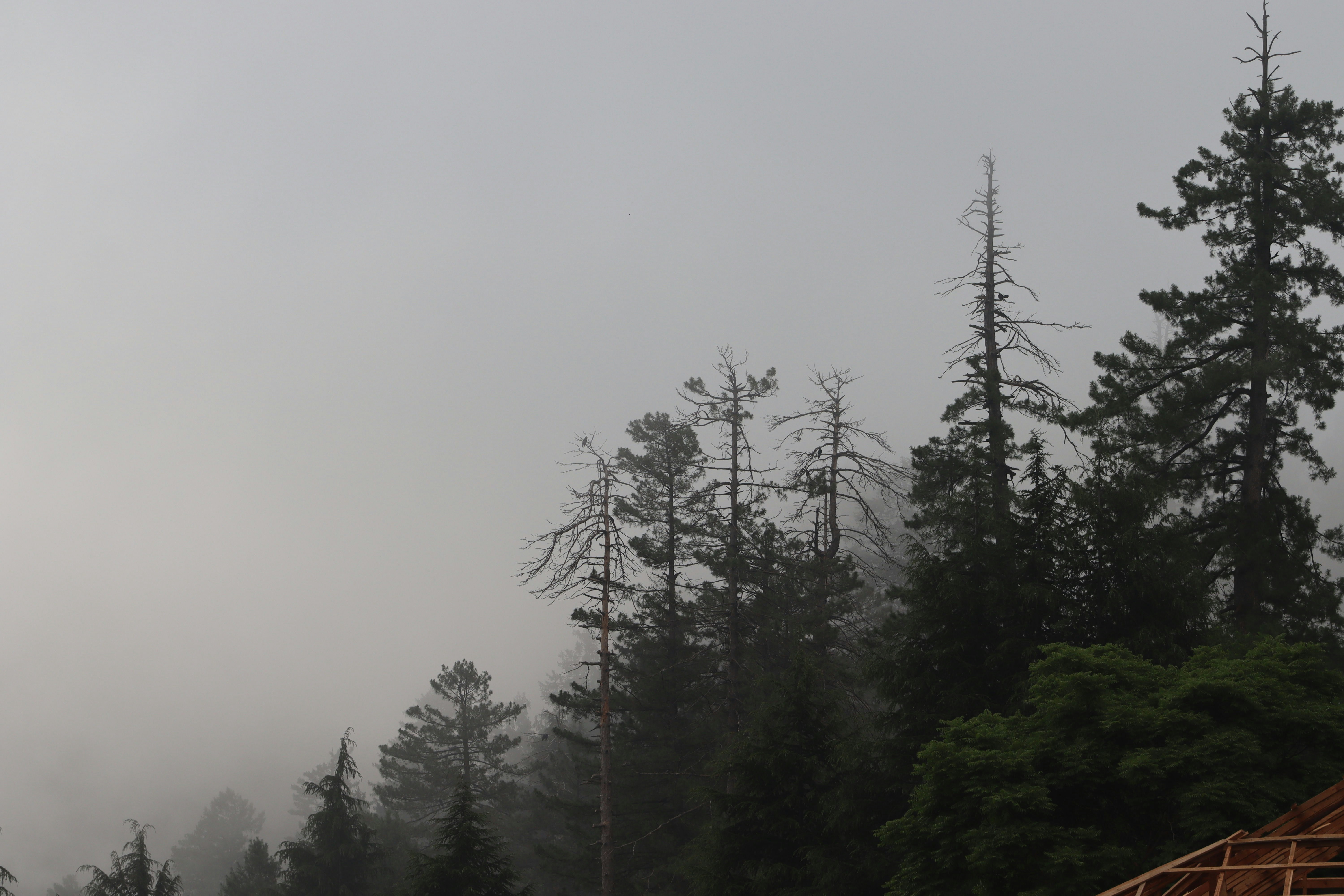 Photo by drphotographer152