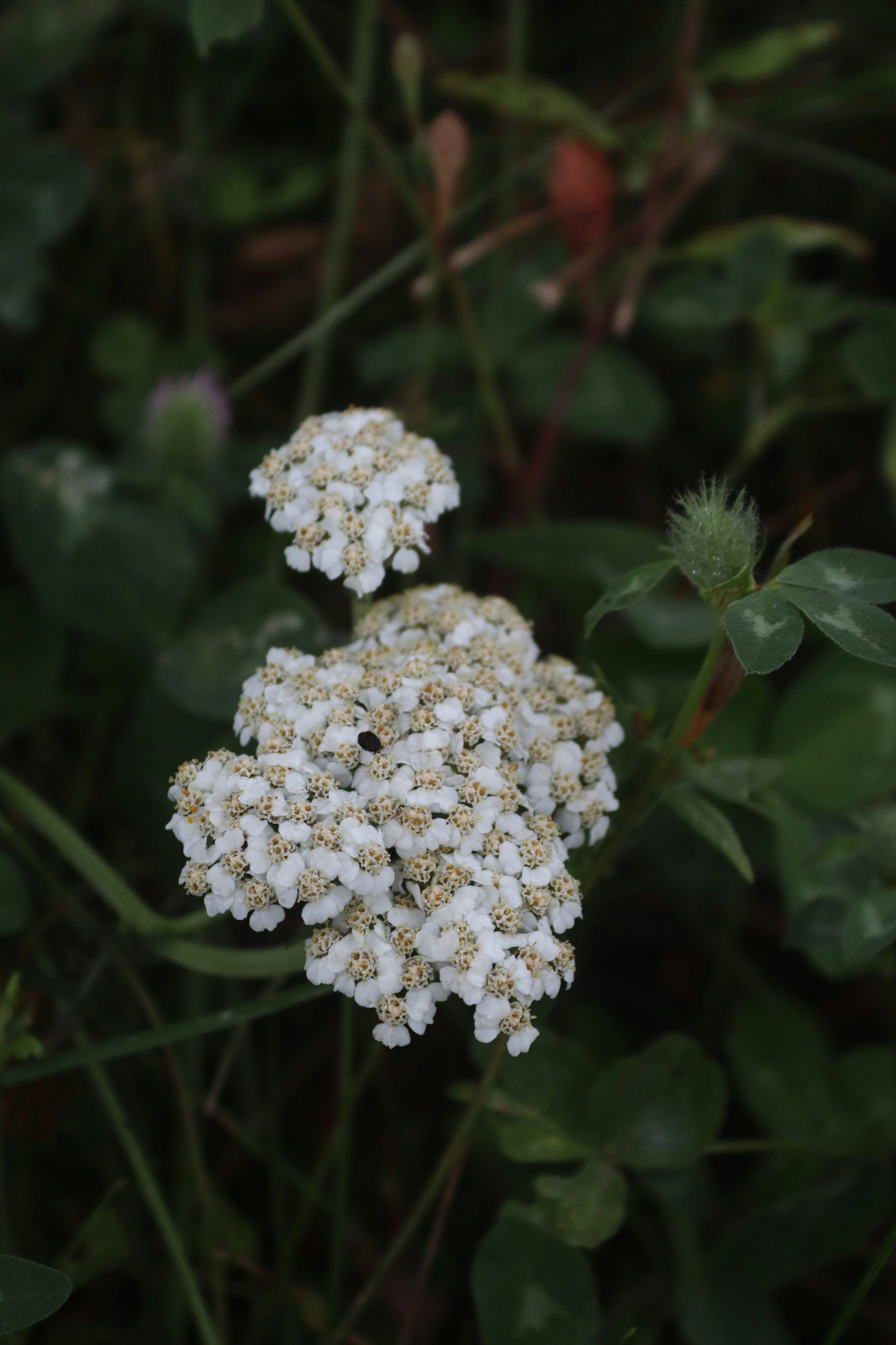 Photo by drphotographer152